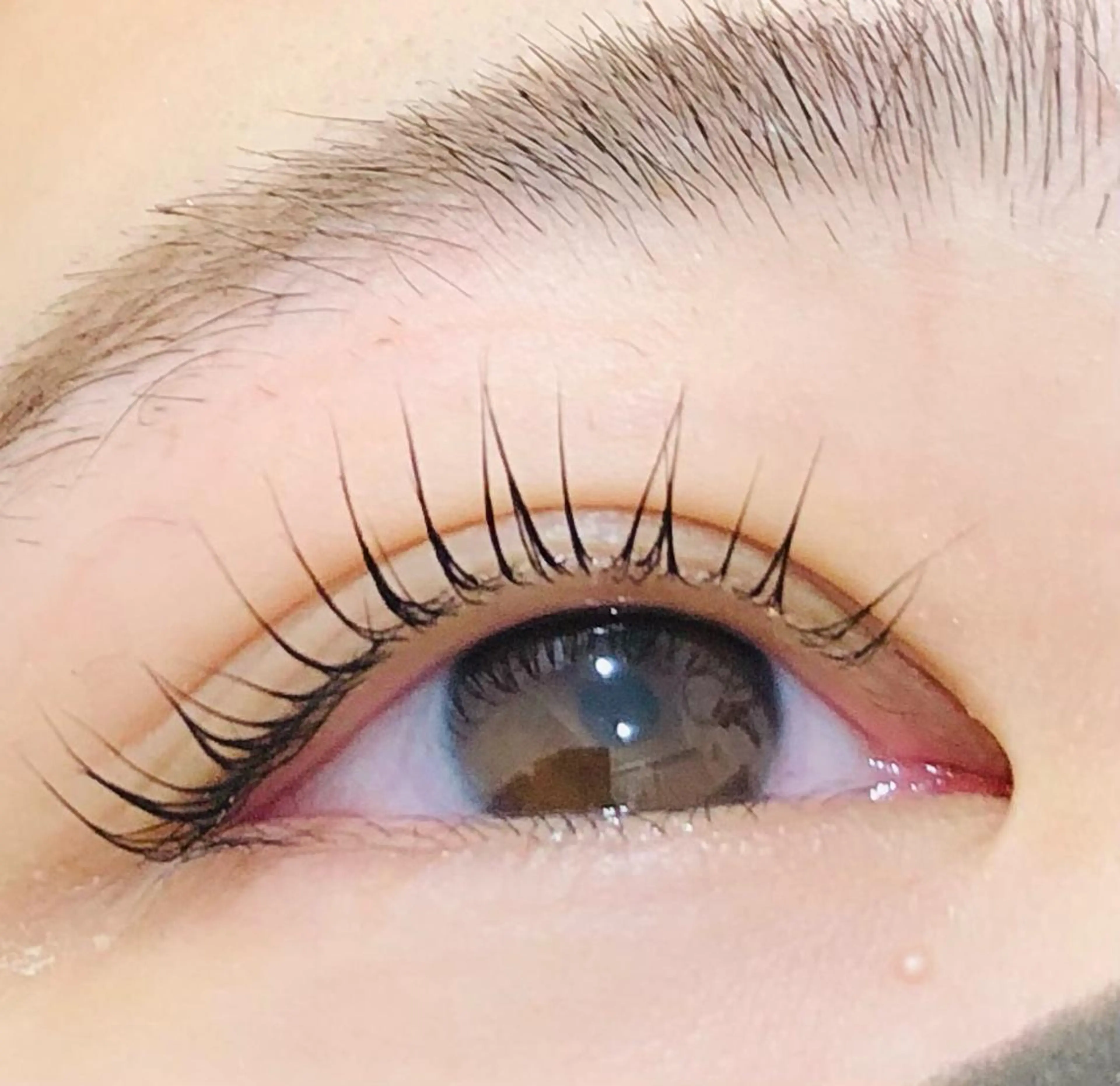 マツエク・マツパ フラットラッシュ セーブル 一重×まつ毛パーマ ボリュームラッシュ マツパ eyelash salon sopo所属・sopo 山口のマツエク・マツパデザイン