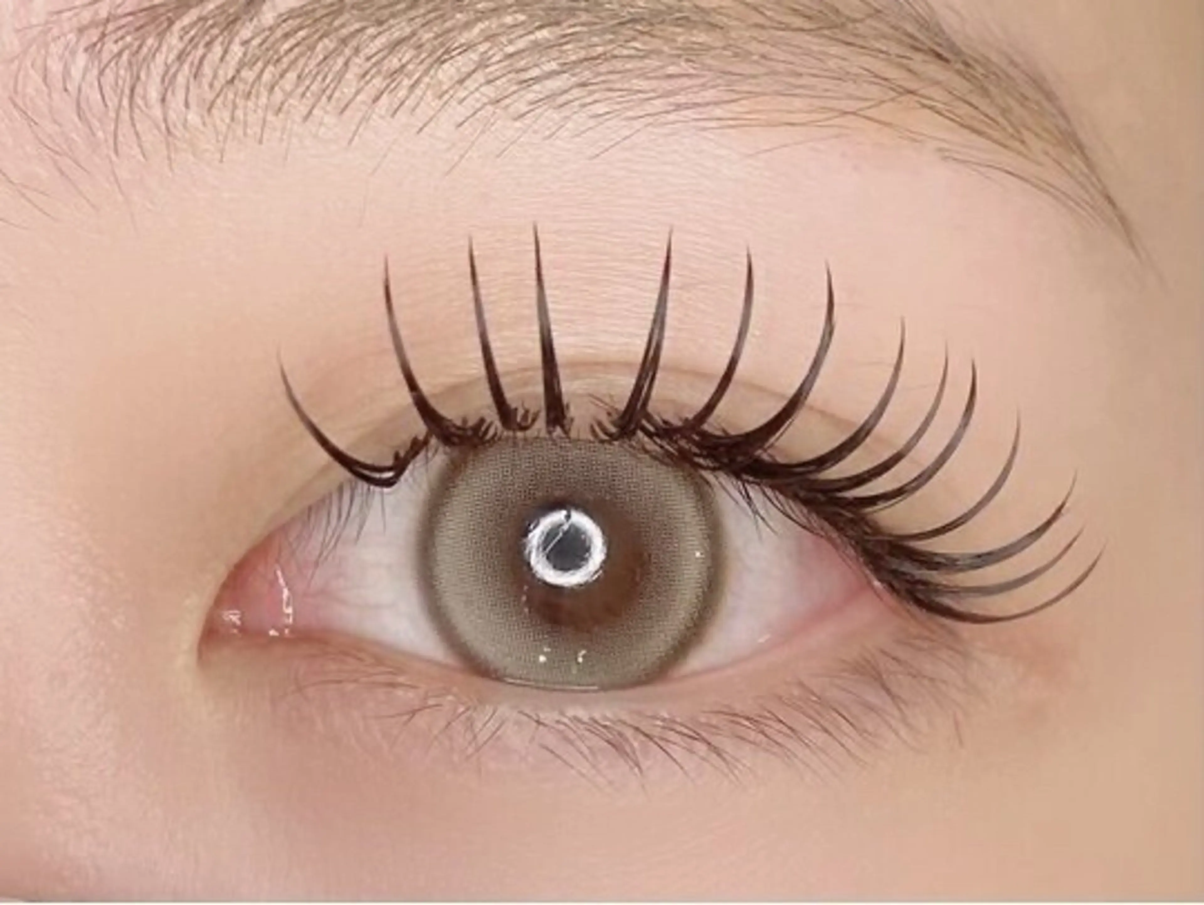 《12月限定》LEDマツエク【80本6600円】🩵🪽今だけ限定価格💫の写真