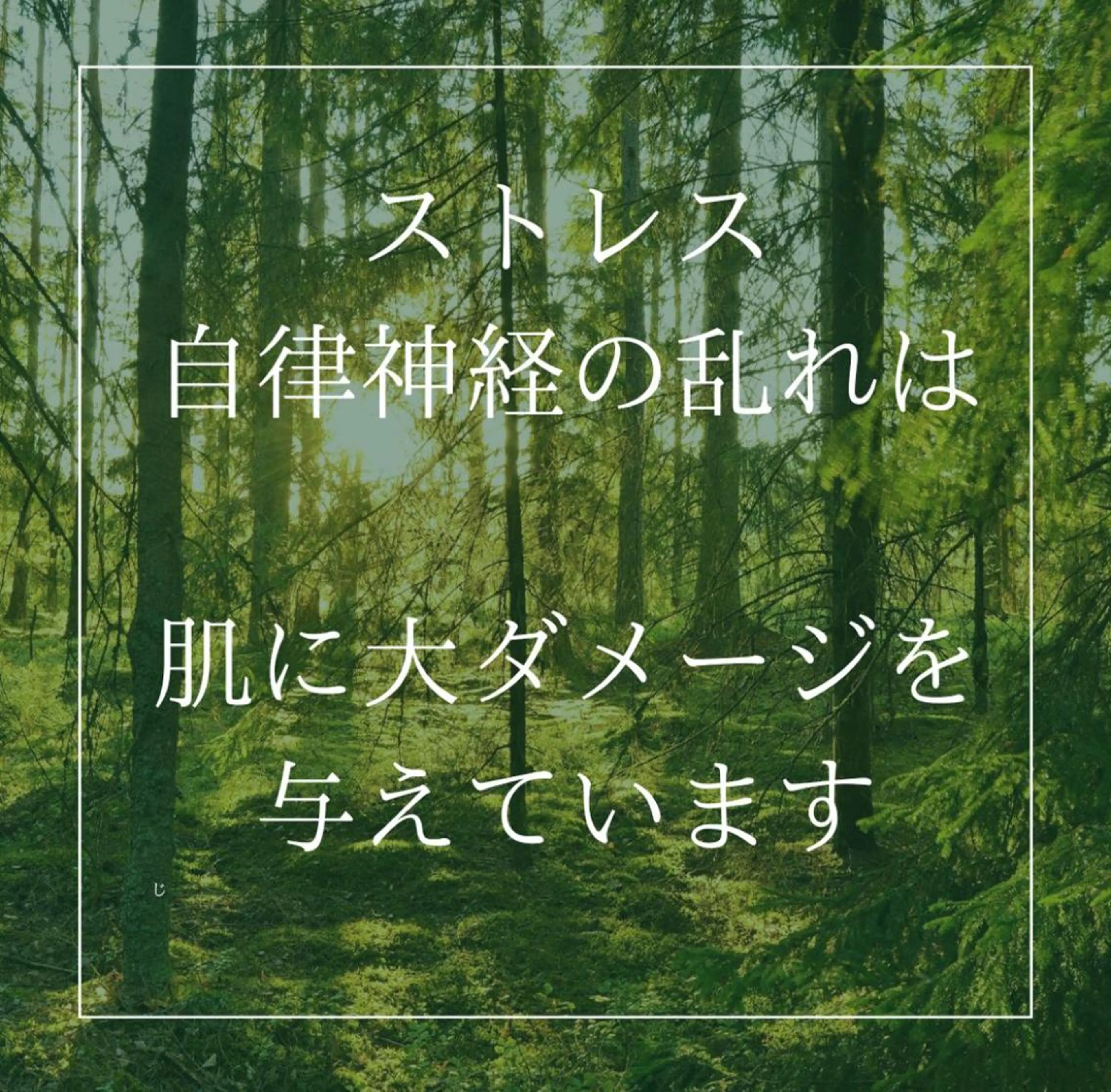 ニキビ特化型エステ 🍓最短で肌質改善のエステ・リラクイメージ