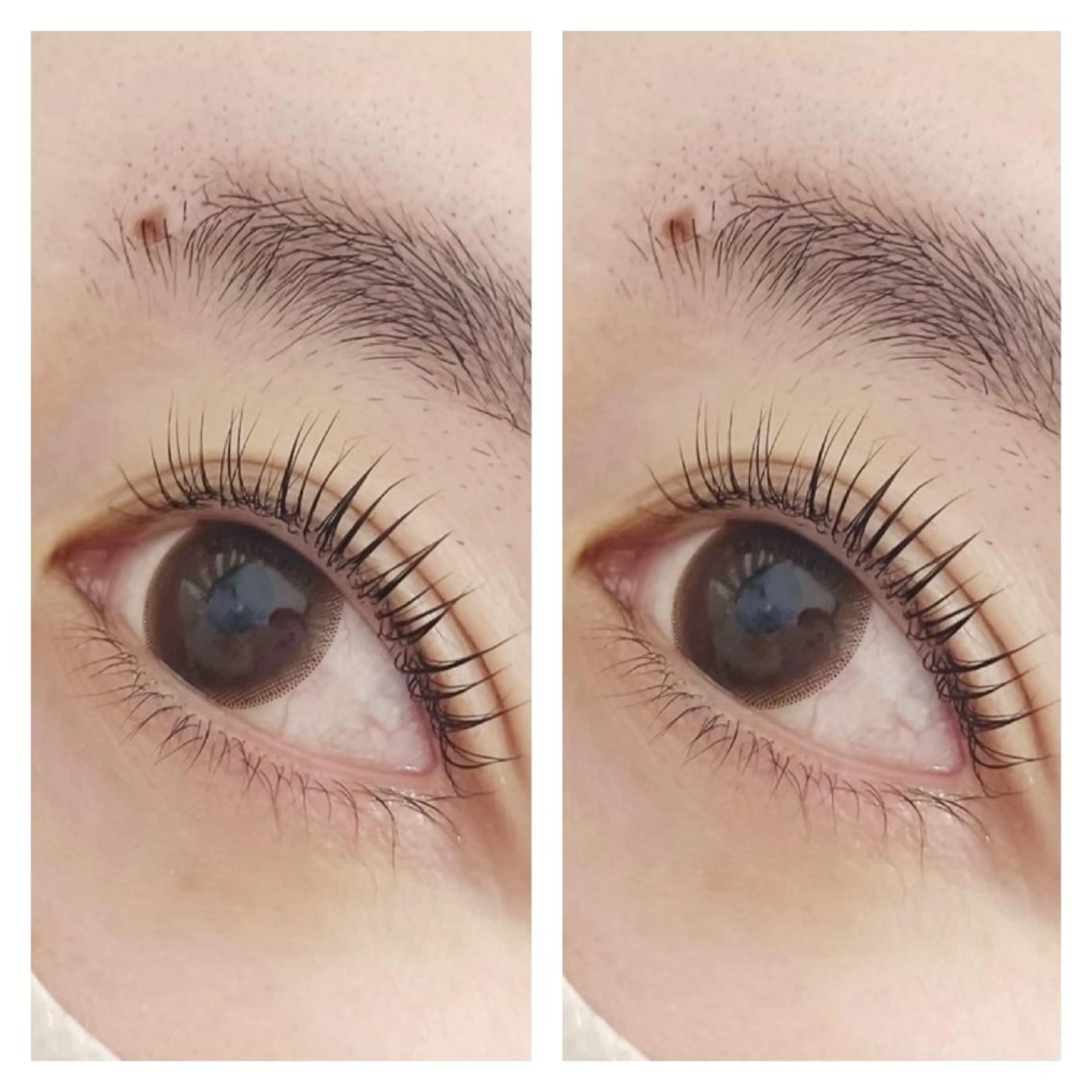 【2名限定！】まつ毛パーマ（上)\3480➡￥2880の写真