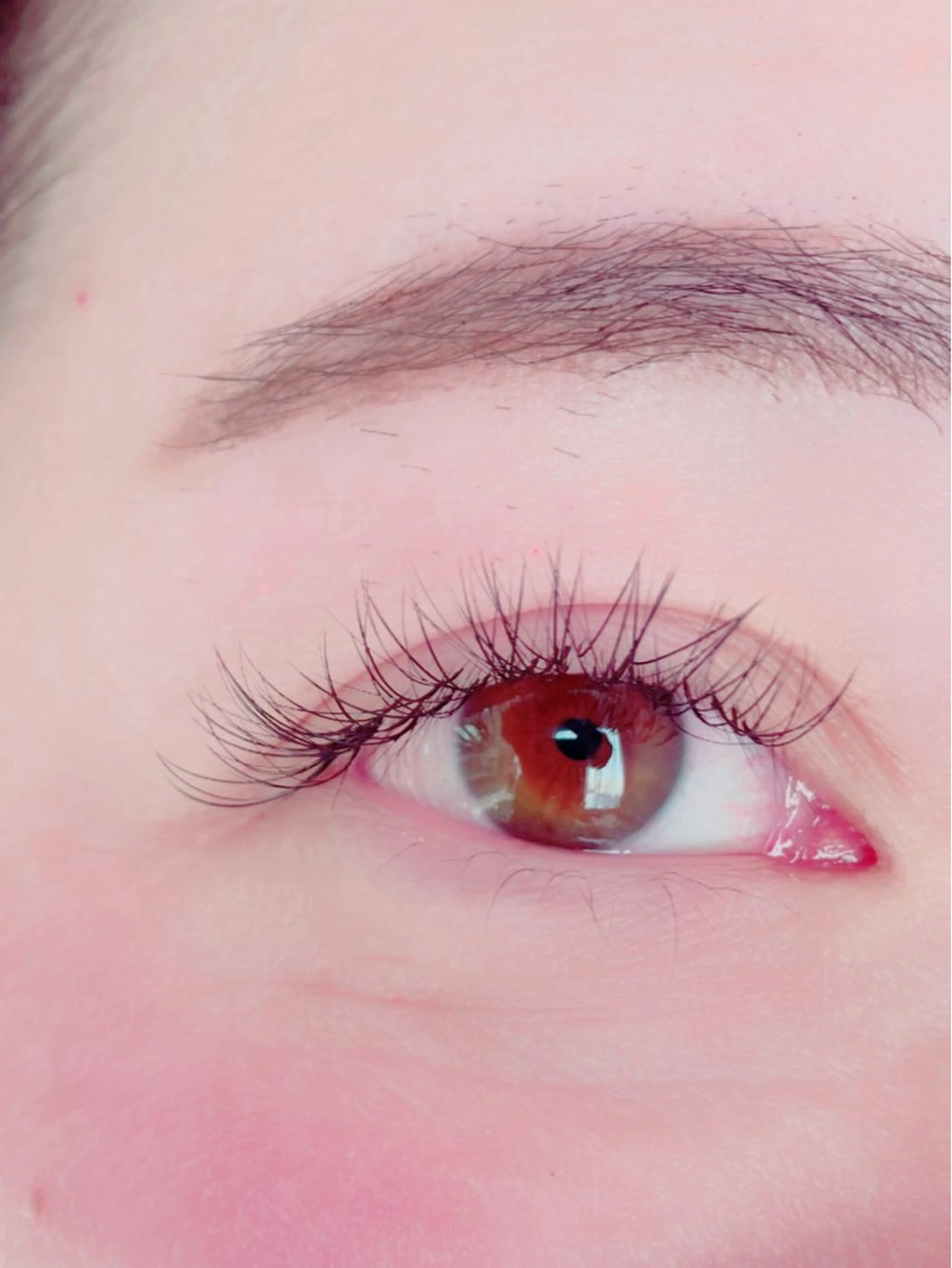 付け足し⭐️バインドロック⭐️60束（シングルで100本くらいの仕上がりイメージ）の写真