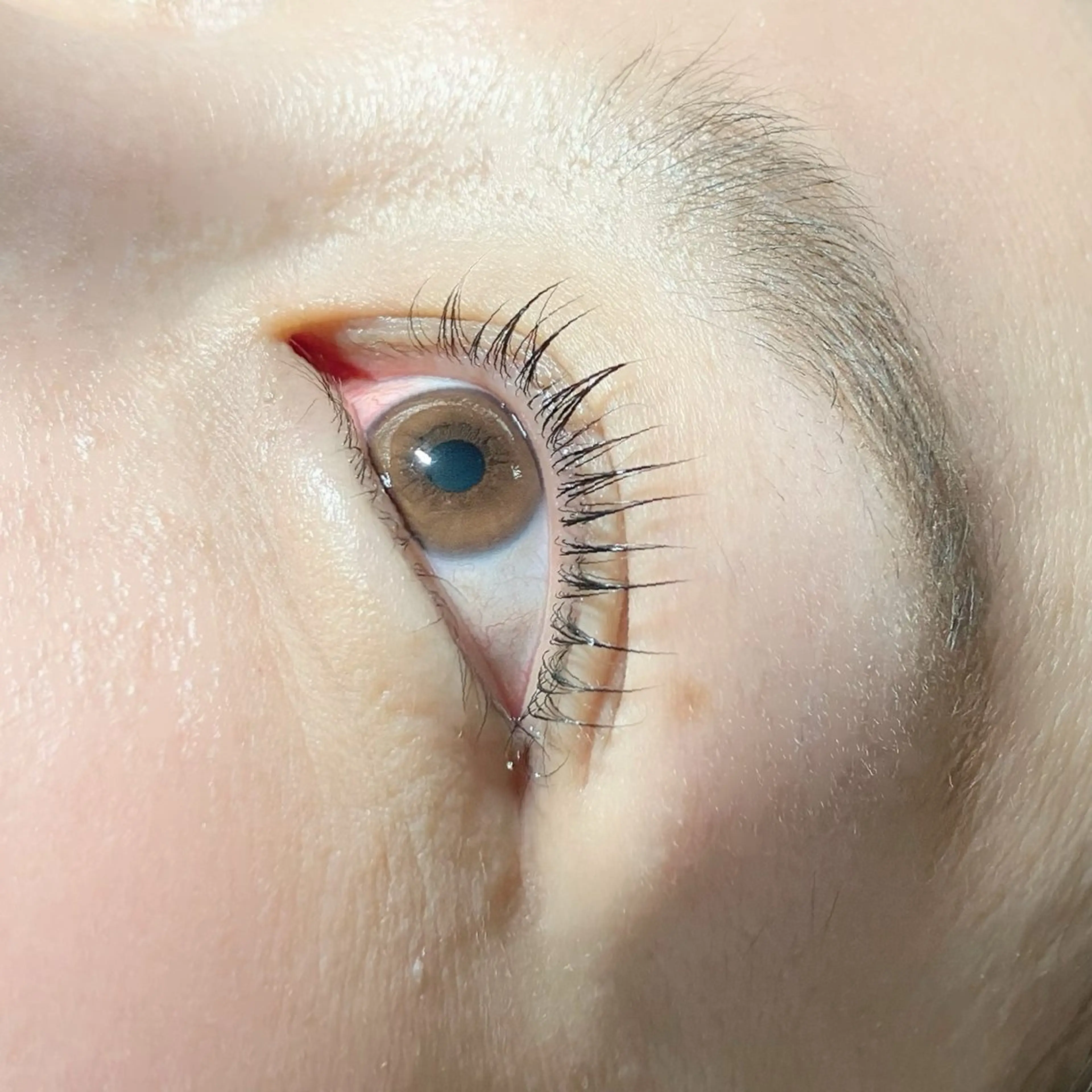 マツエク・マツパ マツパ ∞favo∞ eyelash🏝️のマツエク・マツパデザイン