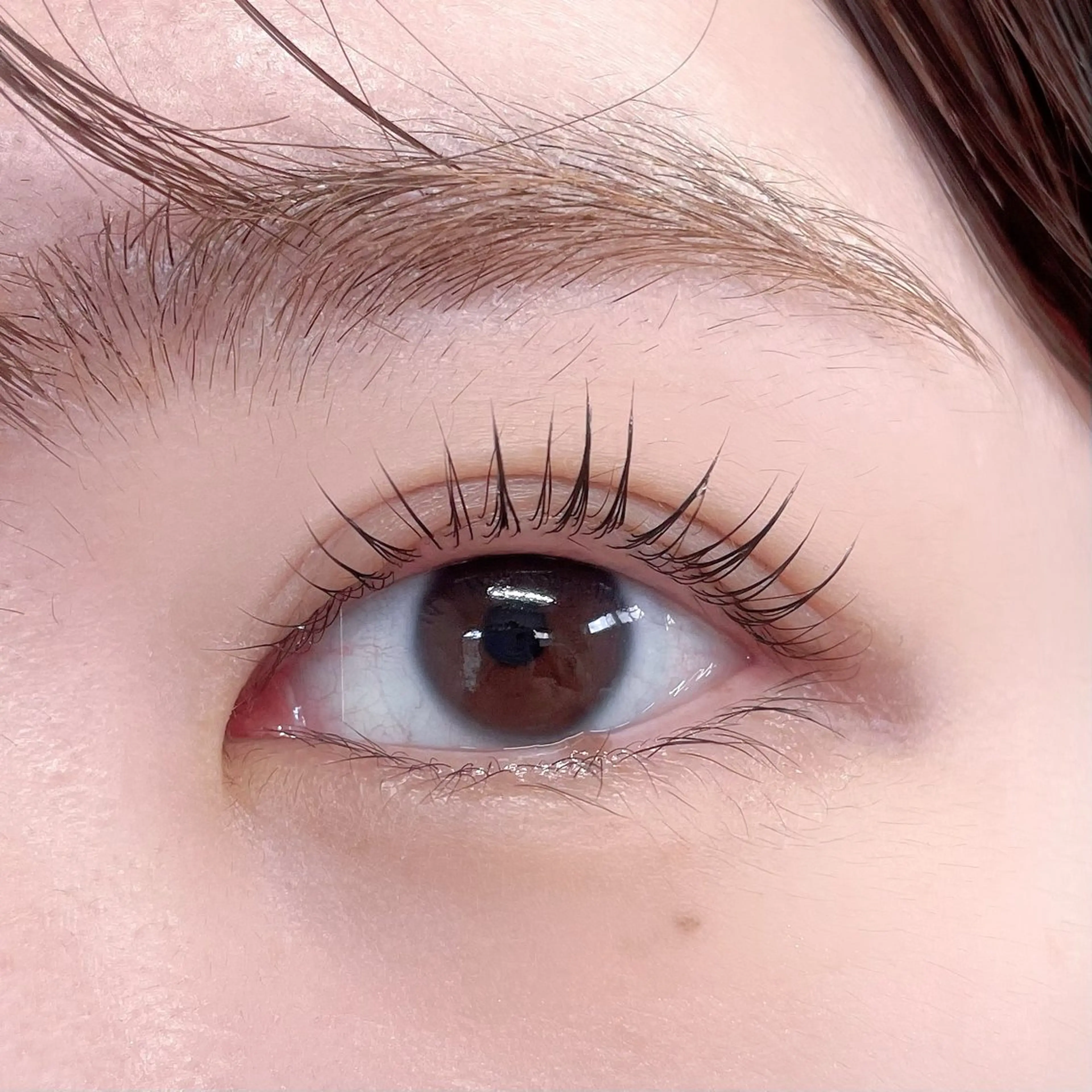 🦋ダメージ修復シルクトリートメント&上まつ毛カールの写真