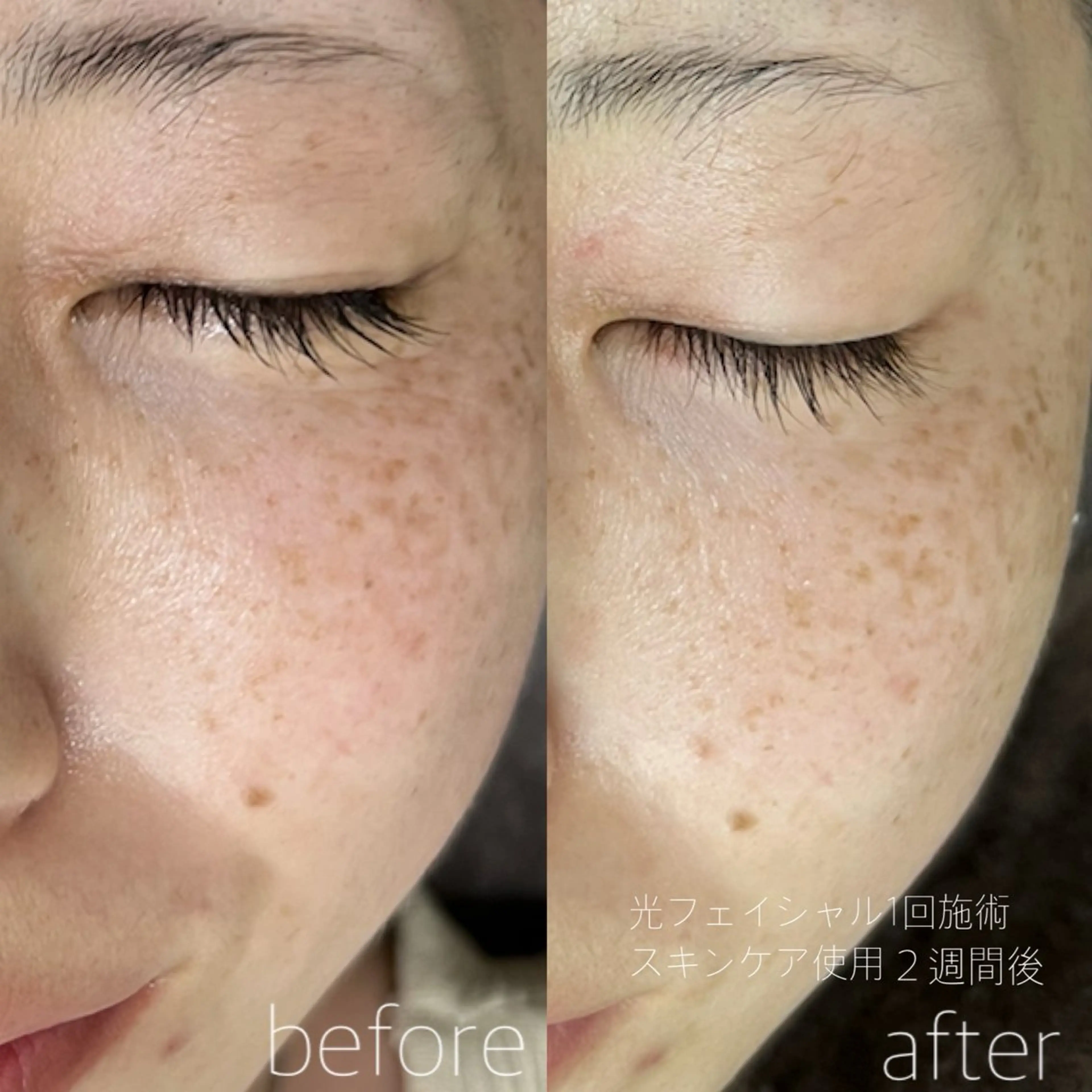 桜井 智子のその他イメージ