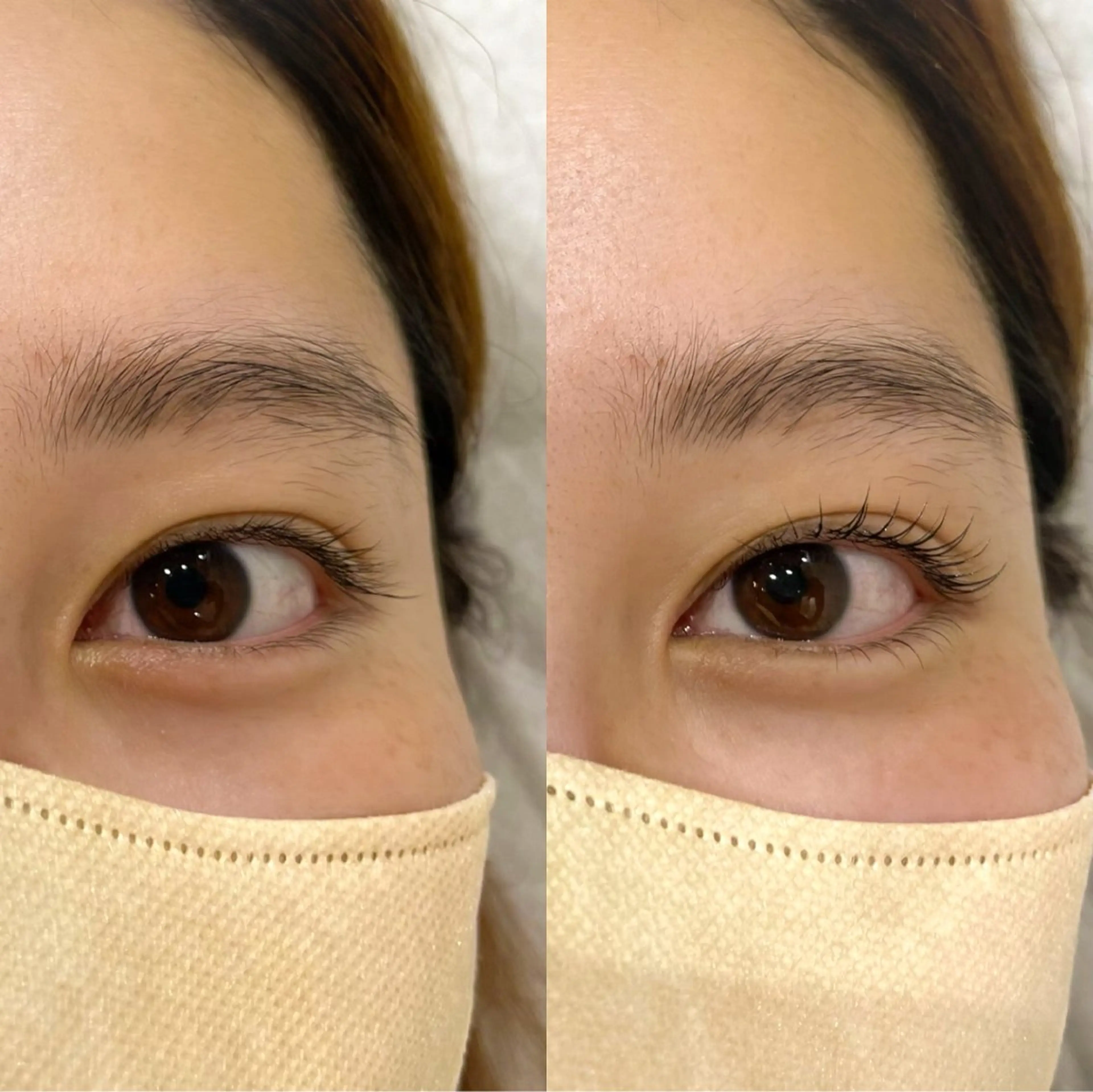 🤍上下まつ毛パーマ🤍の写真