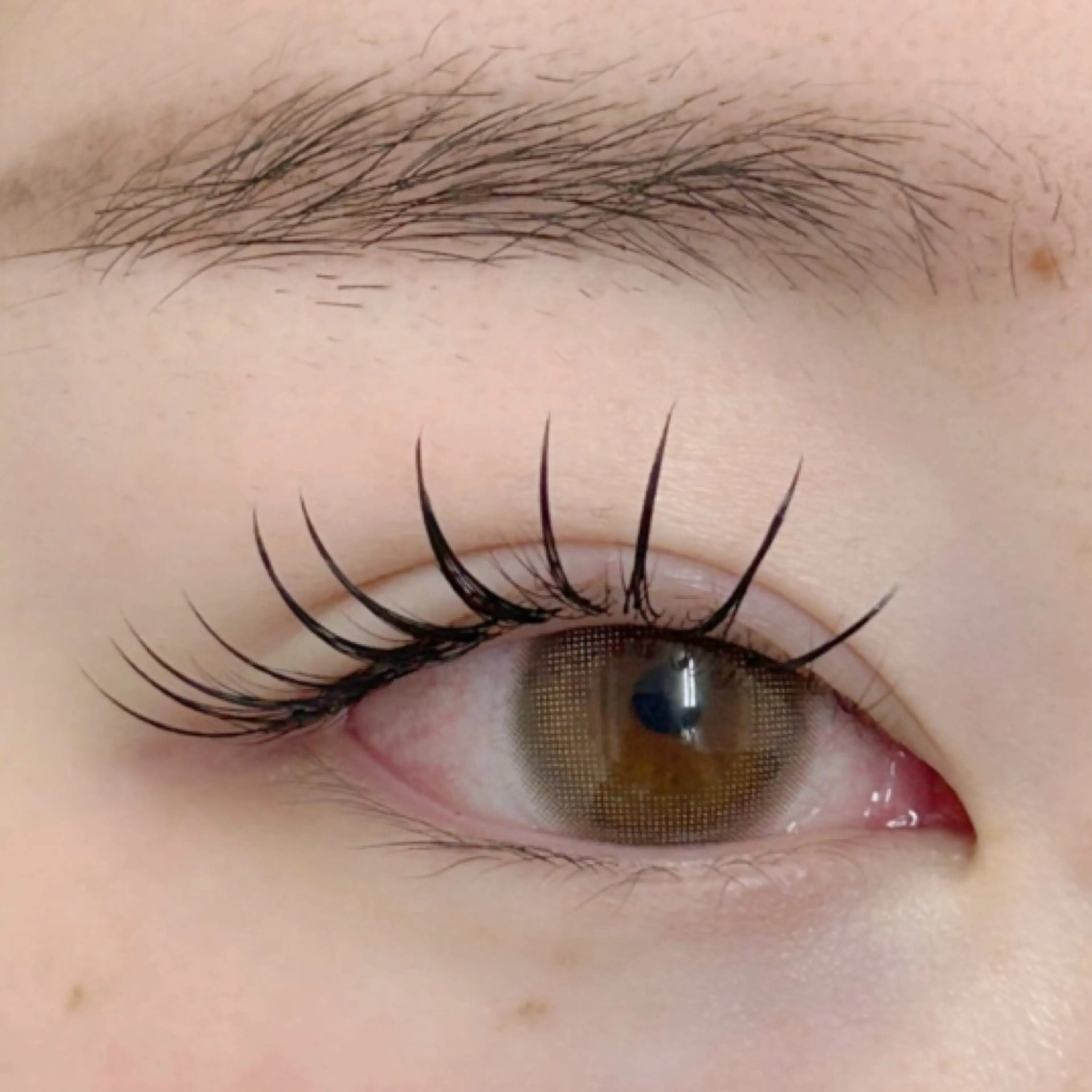 【LED変更無料💫】パリジェンヌラッシュリフト➕フラットラッシュ100本¥9900の写真