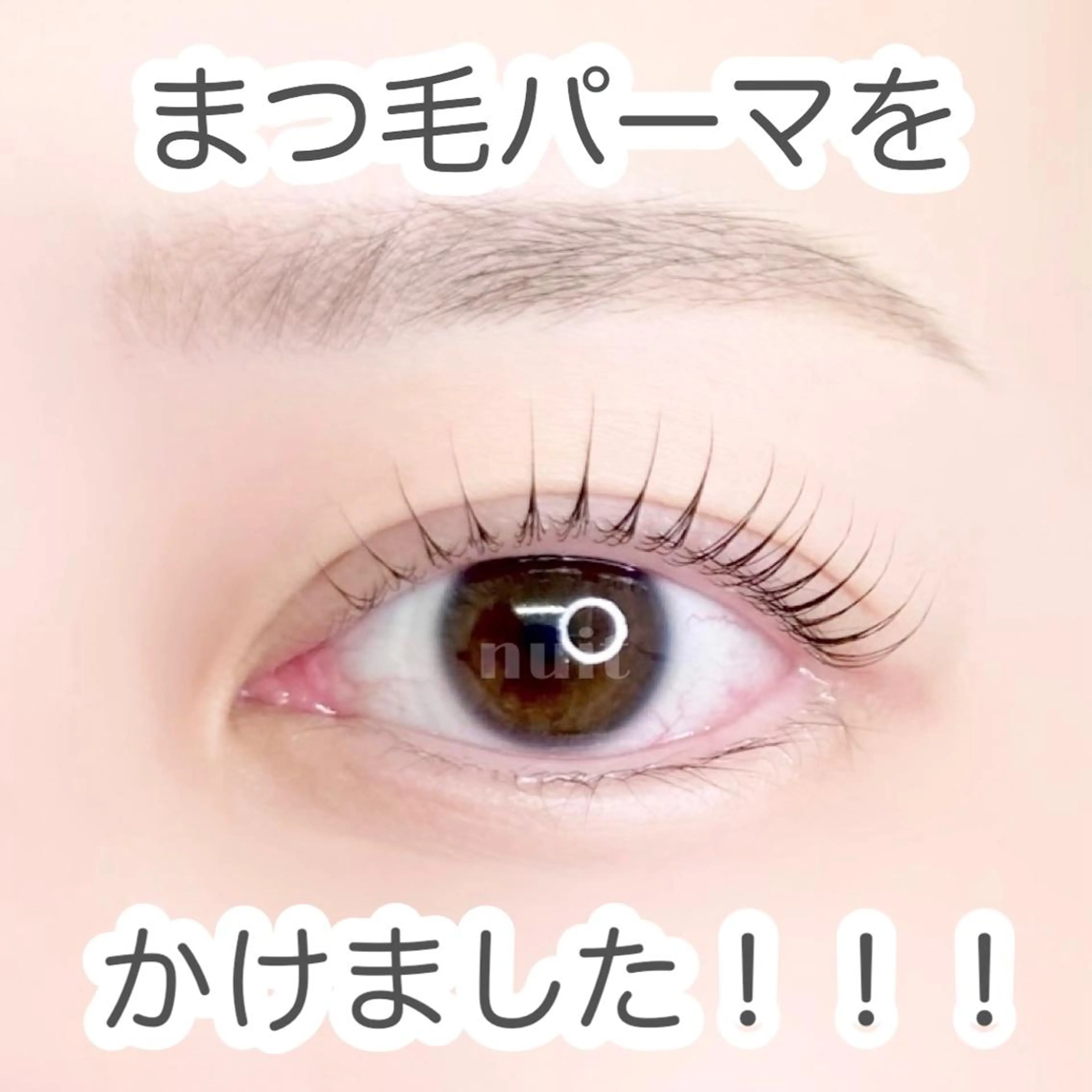 マツエク・マツパ eyelash  salon  nuit【ニュイ】所属・nuit 【ニュイ】 大宮 /　yucaのマツエク・マツパデザイン