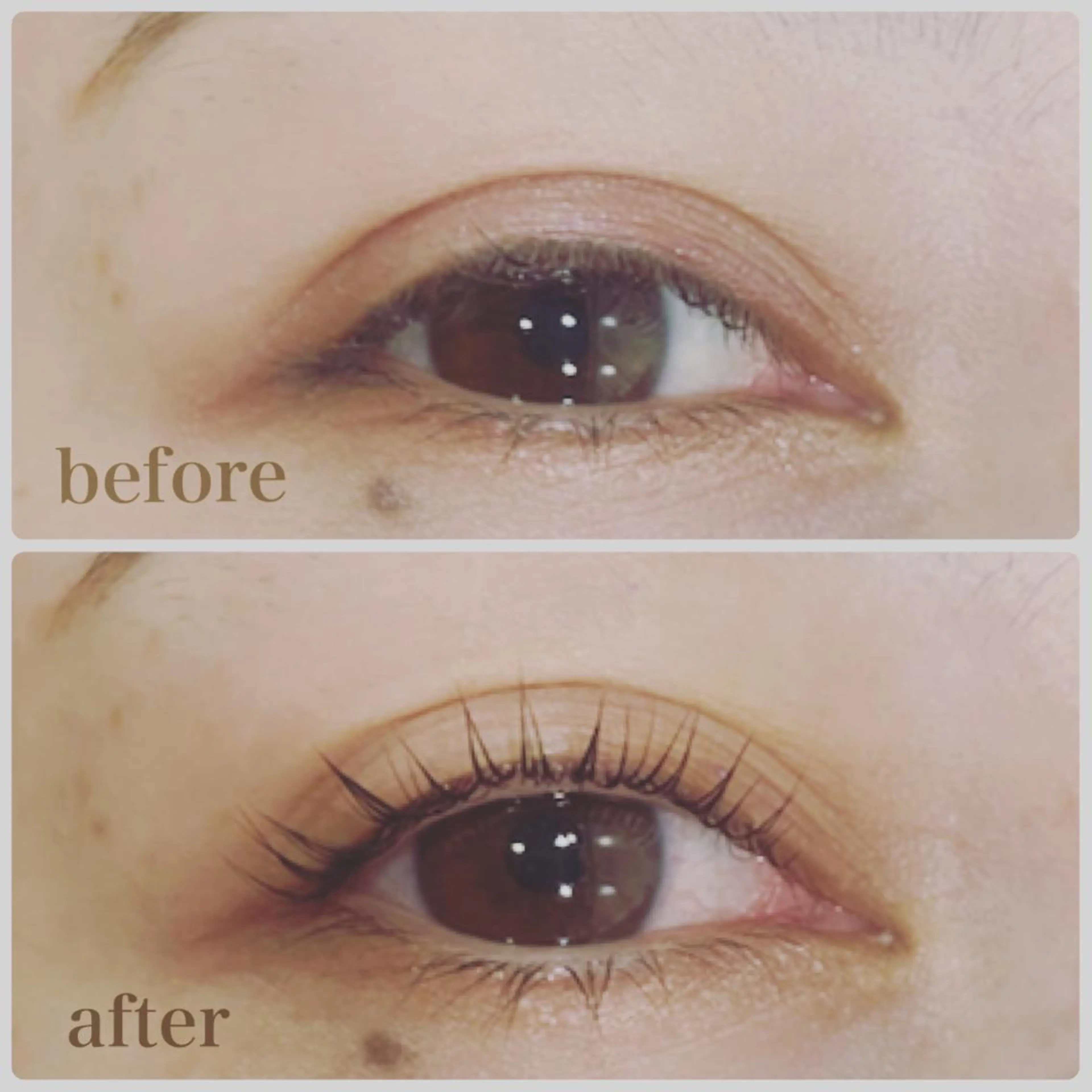 マツエク・マツパ equal静岡店🫧 まつげパーマ/眉毛のマツエク・マツパデザイン