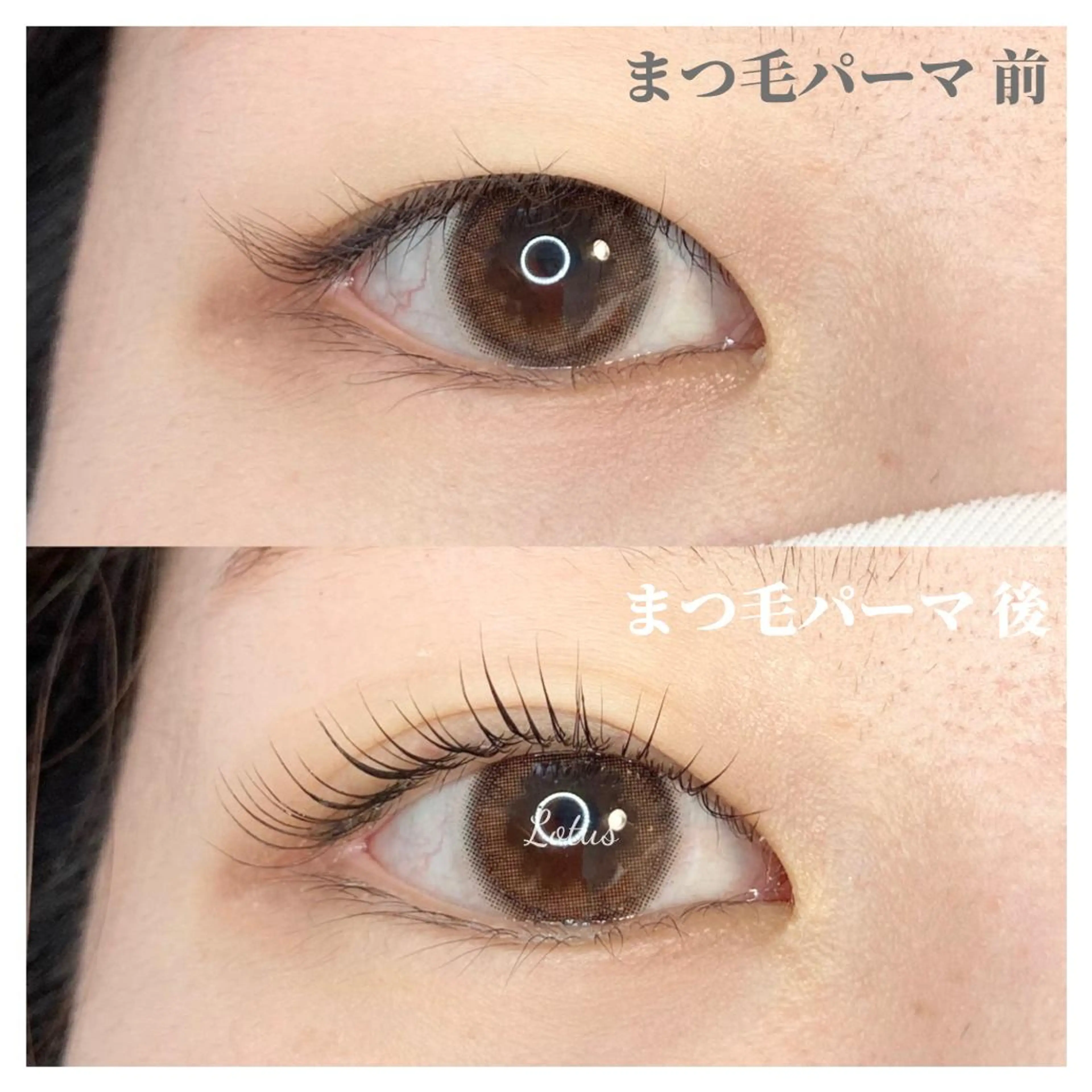 マツエク・マツパ マツパ Lotus所属・Lotus ロータスのマツエク・マツパデザイン