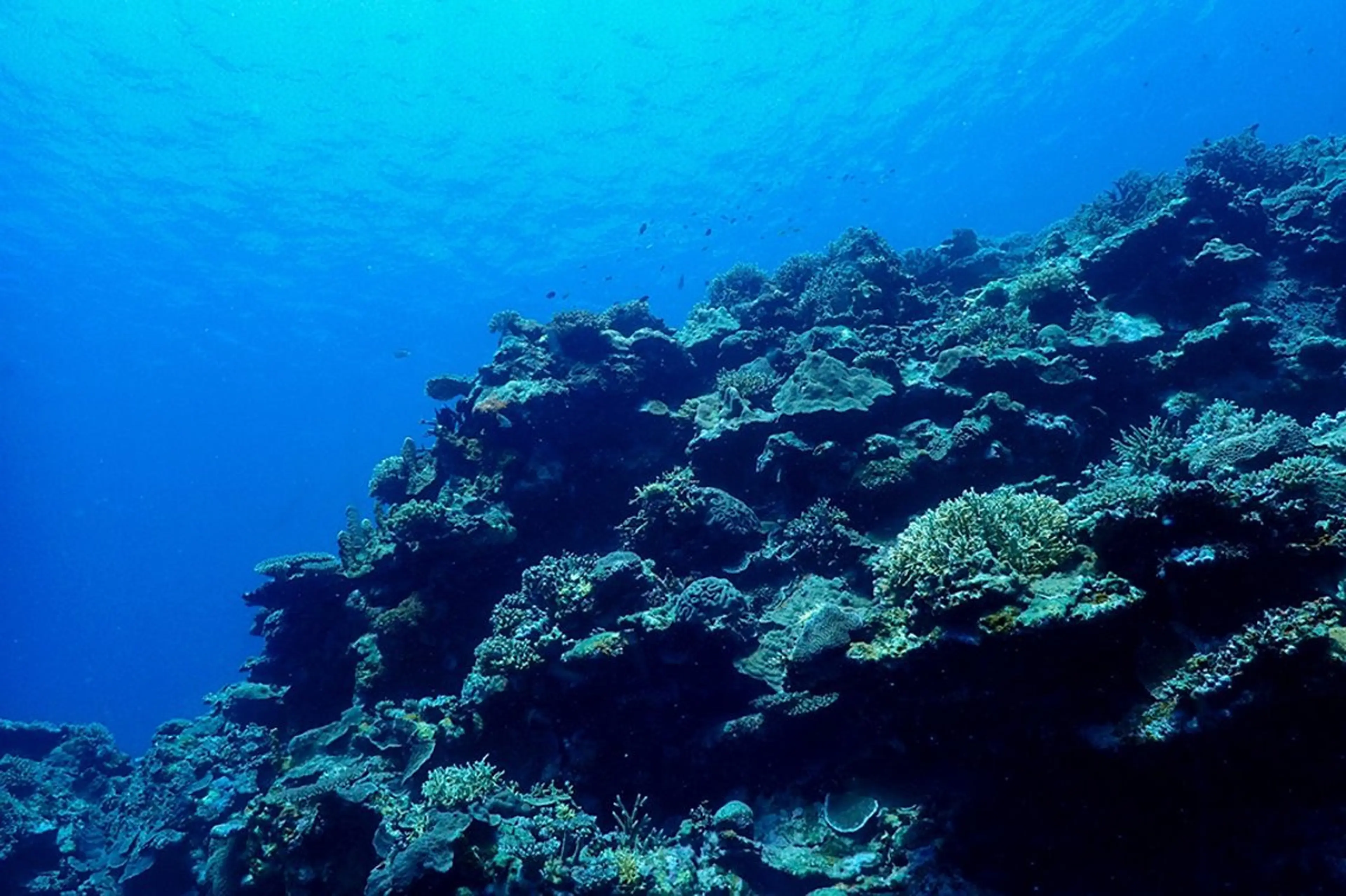 サビ取りハイドロボディー 60分の写真