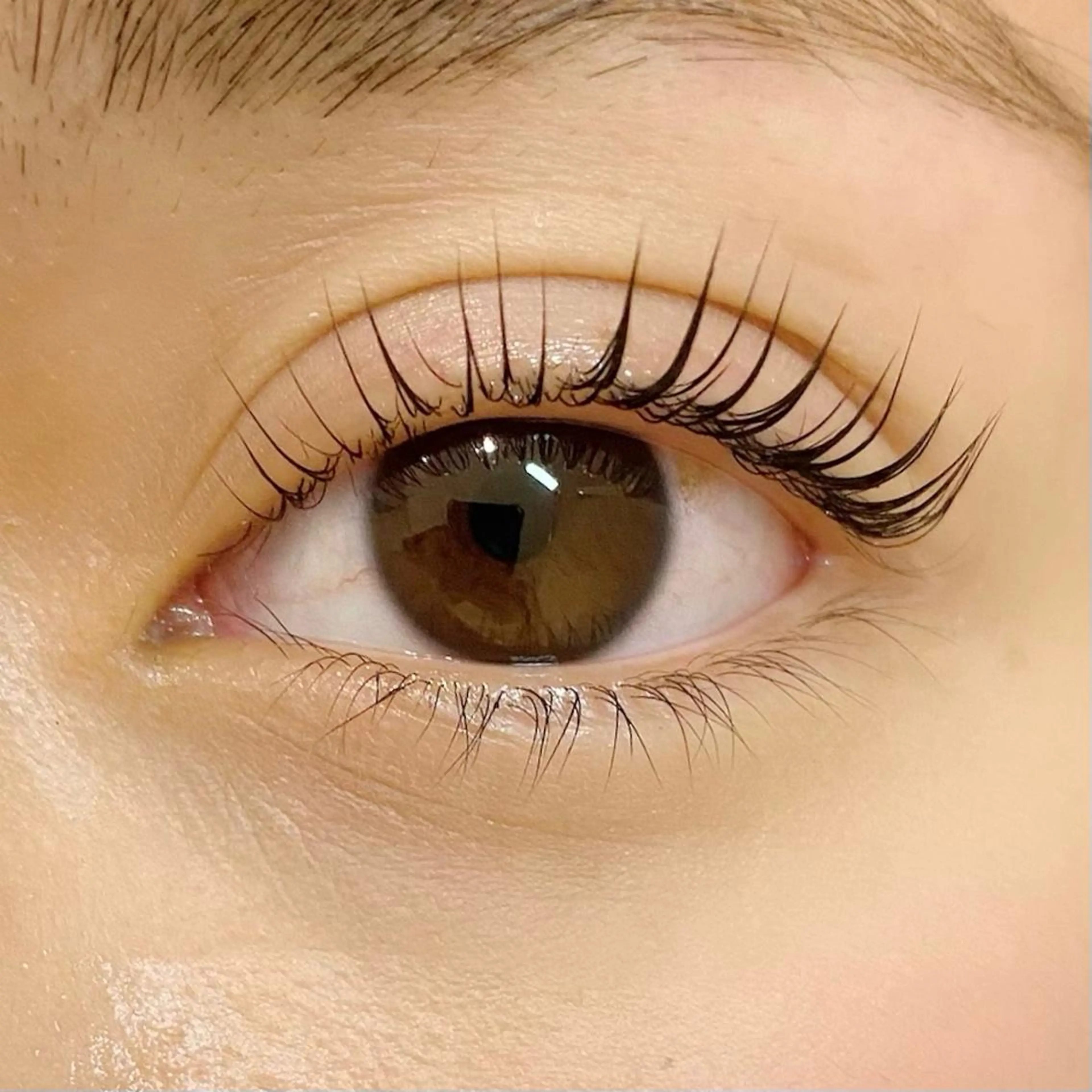 マツエク・マツパ DL ･BEAUTYのマツエク・マツパデザイン