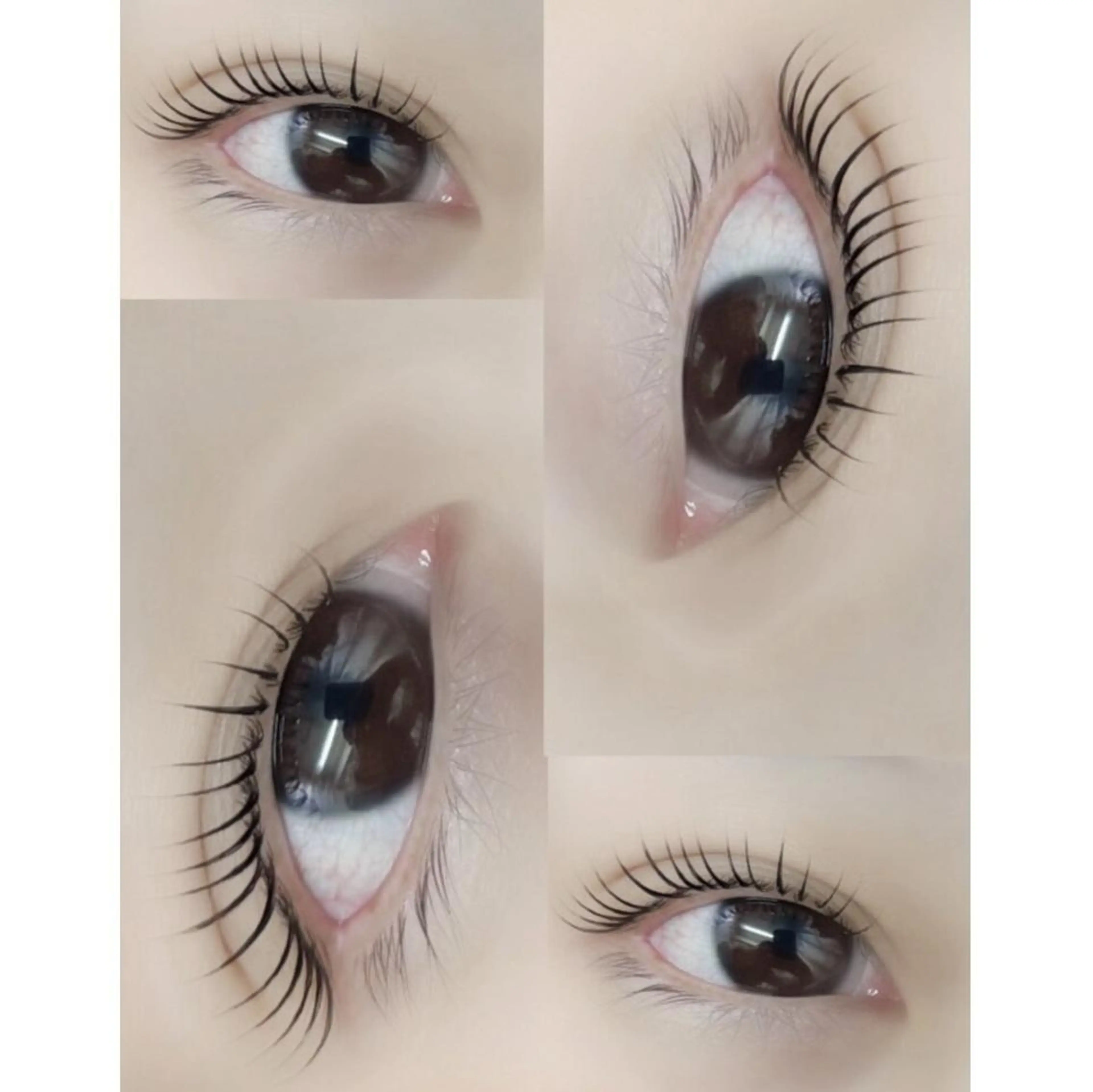 マツエク・マツパ マツパ MIU Rimの眉毛・アイブロウイメージ