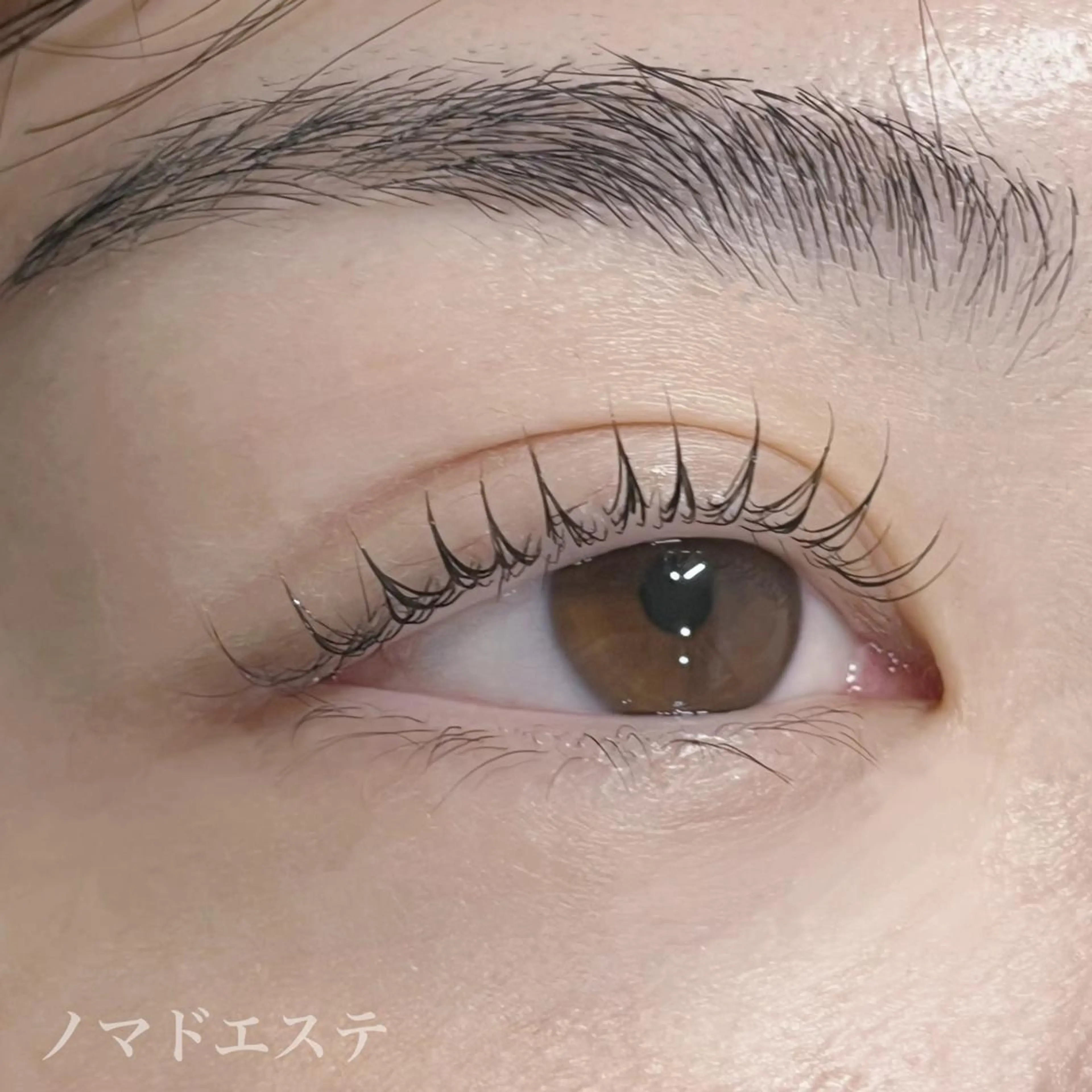 1日2名様限定🎀まつ毛パーマ(上のみ)の練習モデル募集の写真