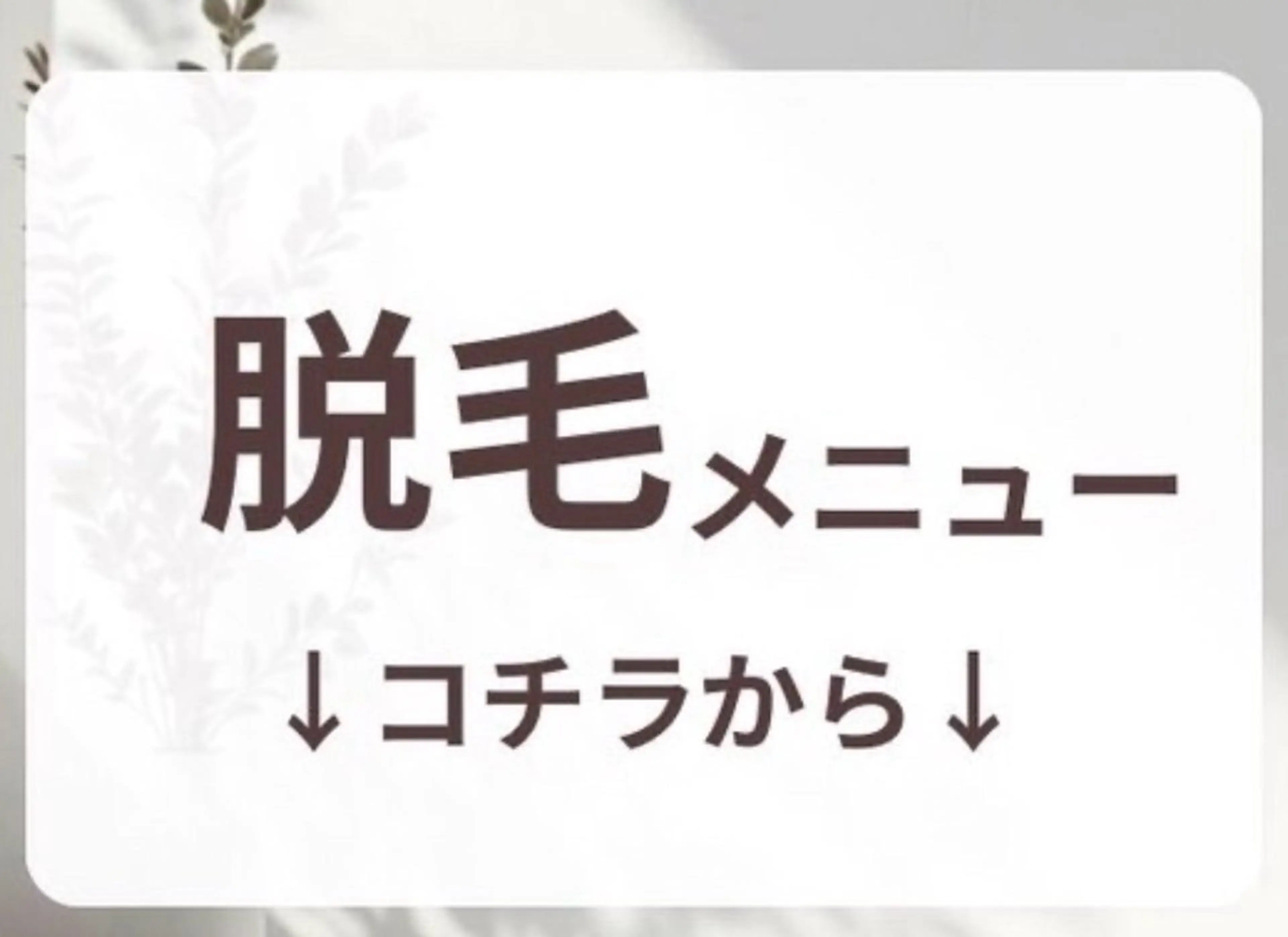カテゴリ表示用の写真