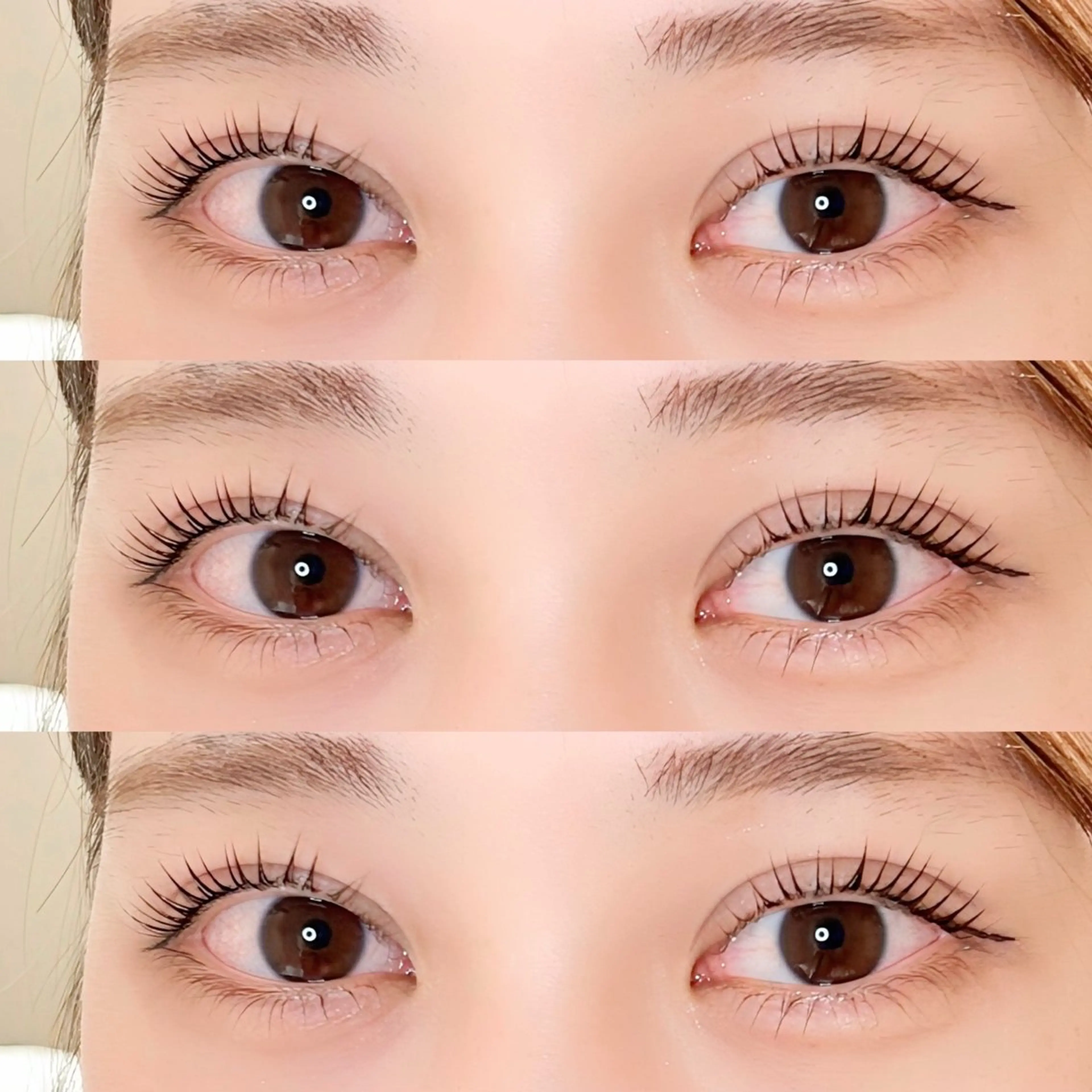 マツエク・マツパ パリジェンヌラッシュリフト Lowen 野原の眉毛・アイブロウイメージ