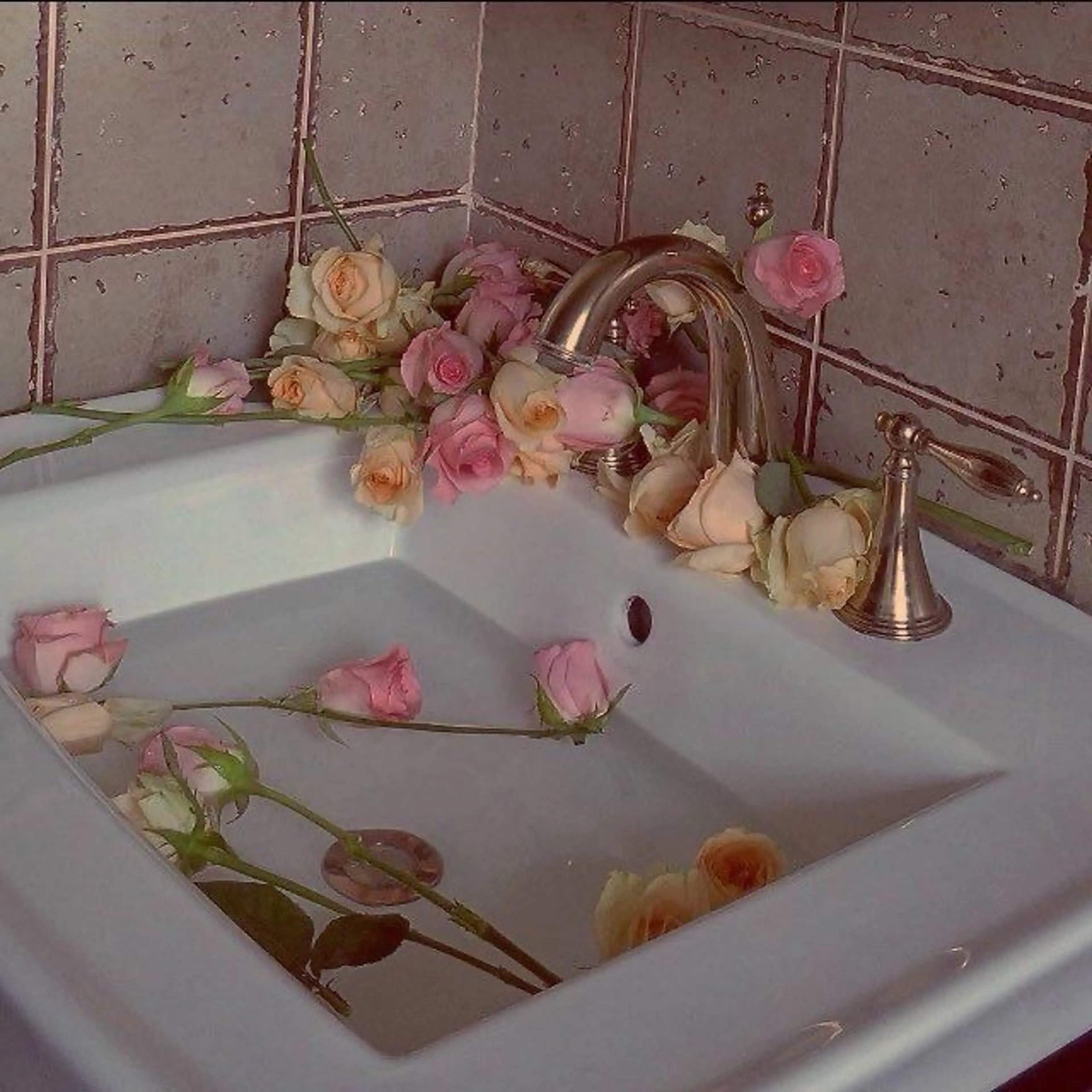 マツエク・マツパ マツパ 🩶バインドロック まつパ🩶由佳の眉毛・アイブロウイメージ