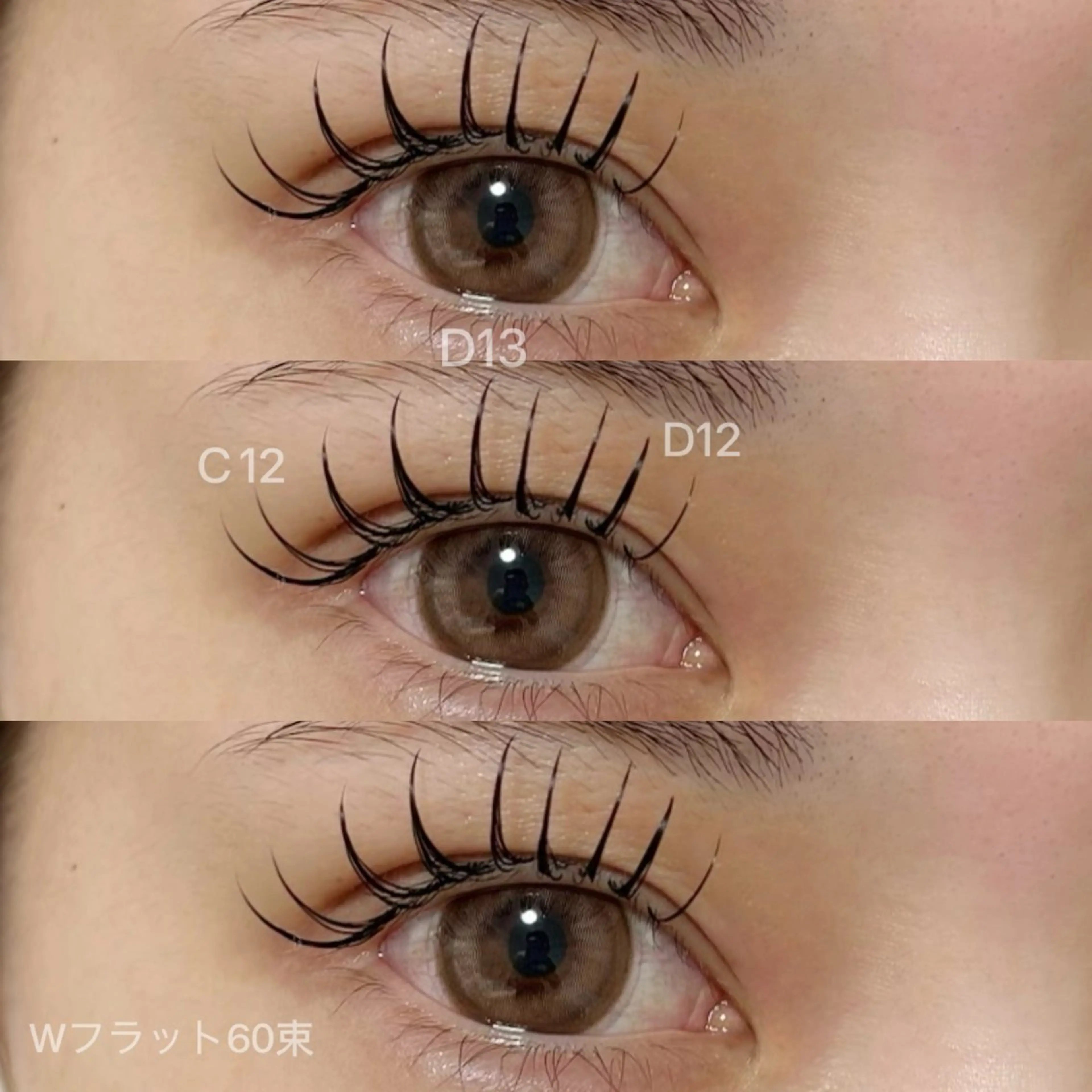 💓オフあり💓バインドロック（Wフラット）60束（120本）の写真