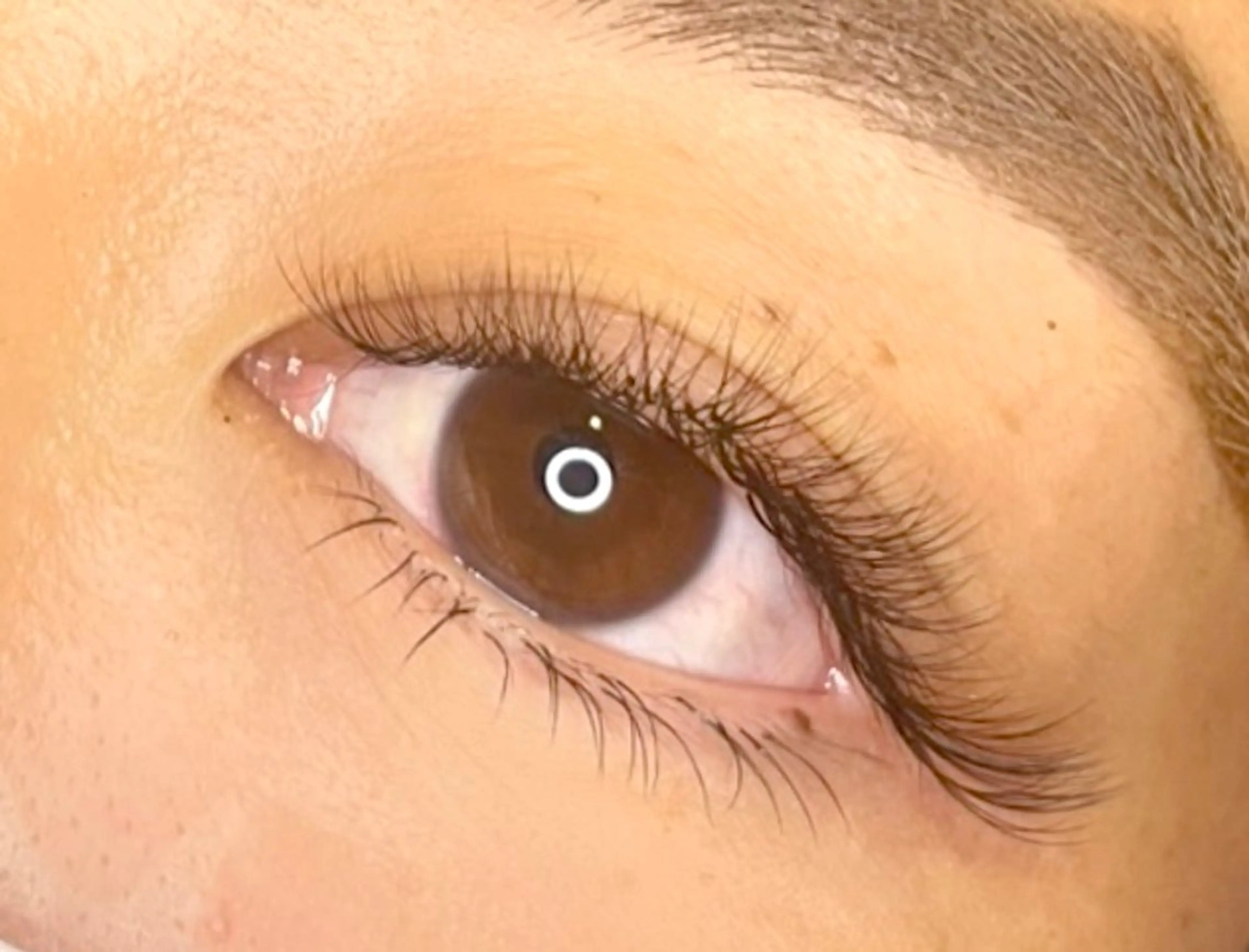 下まつげエクステ🌟20​〜​60本🌟本数により料金変動します🙆‍♀️上まつ毛とセットで1000円引き！の写真