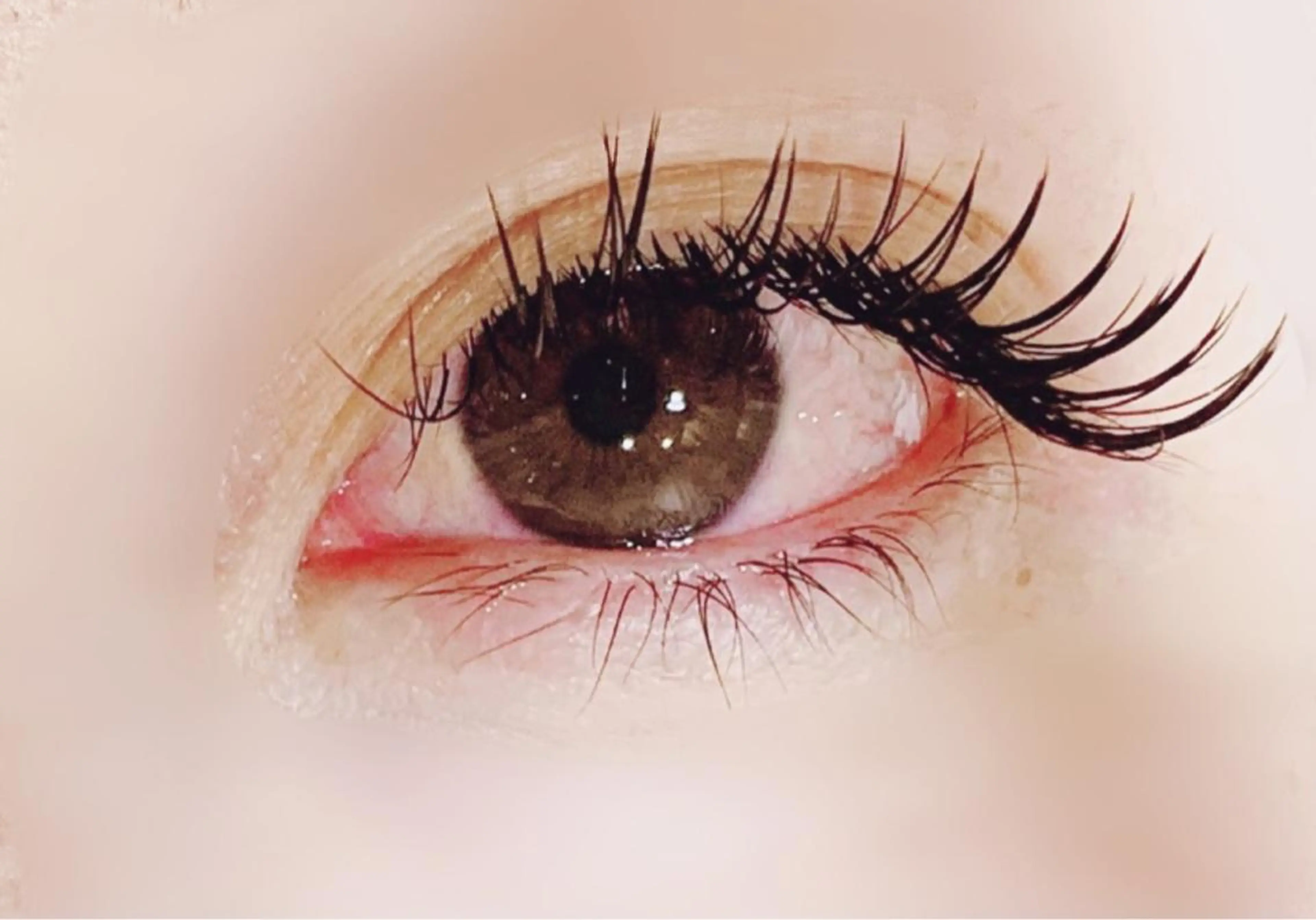 マツエク・マツパ ボリュームラッシュ CLOVER一宮店所属・岩佐 朋香のマツエク・マツパデザイン