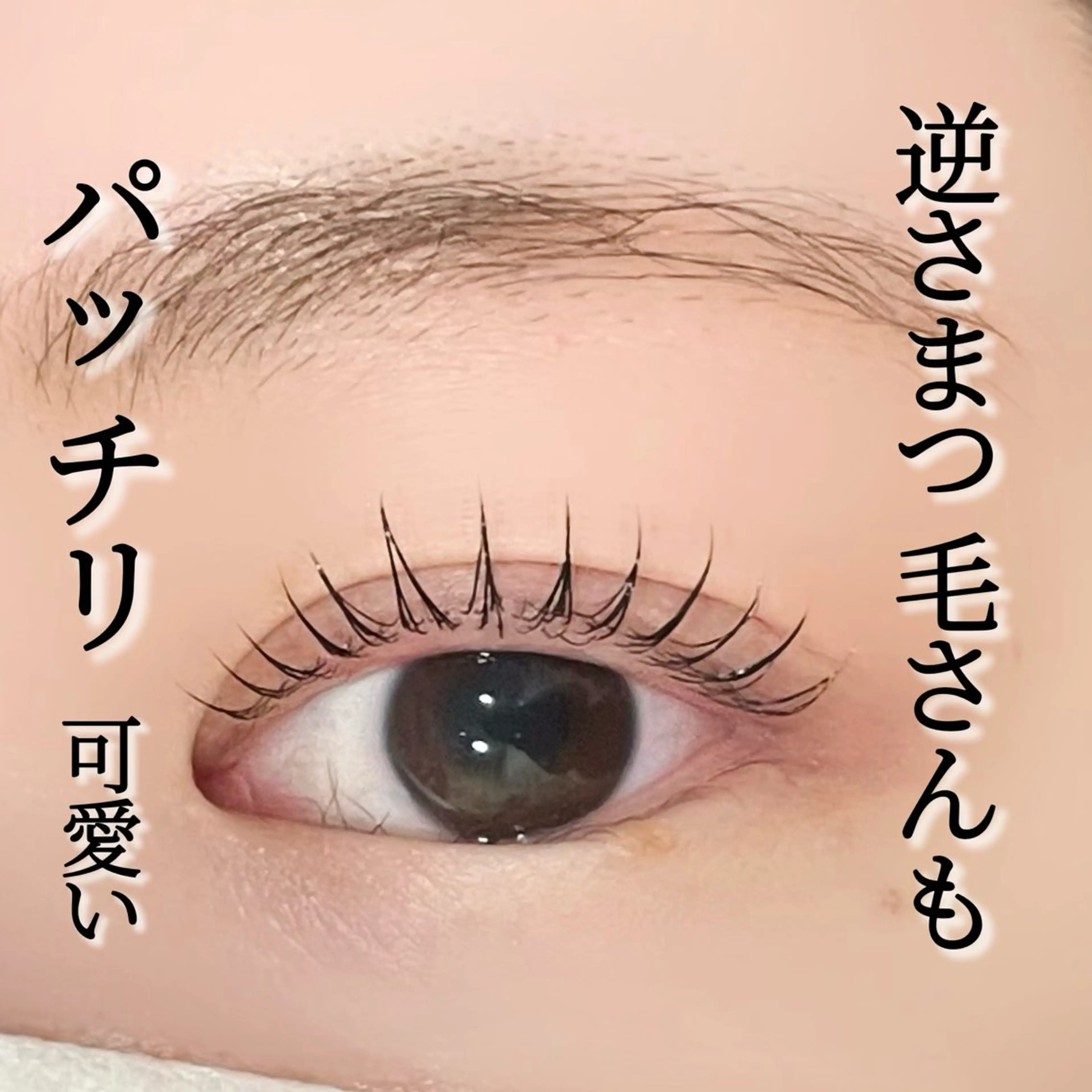 マツエク・マツパ マツパ cocoru 💓 悉知のマツエク・マツパデザイン