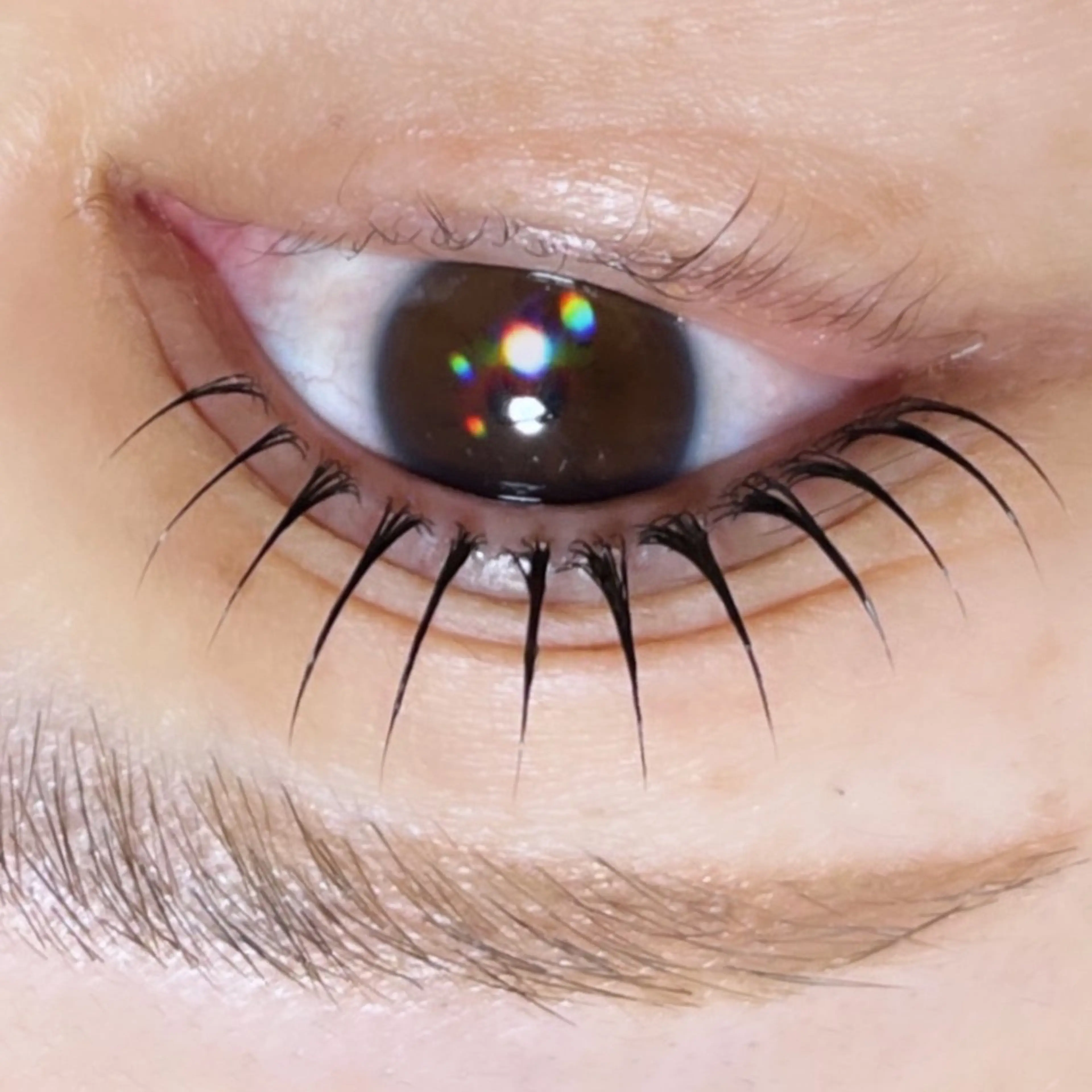 マツエク・マツパ アイラッシュサロン エルアのマツエク・マツパデザイン