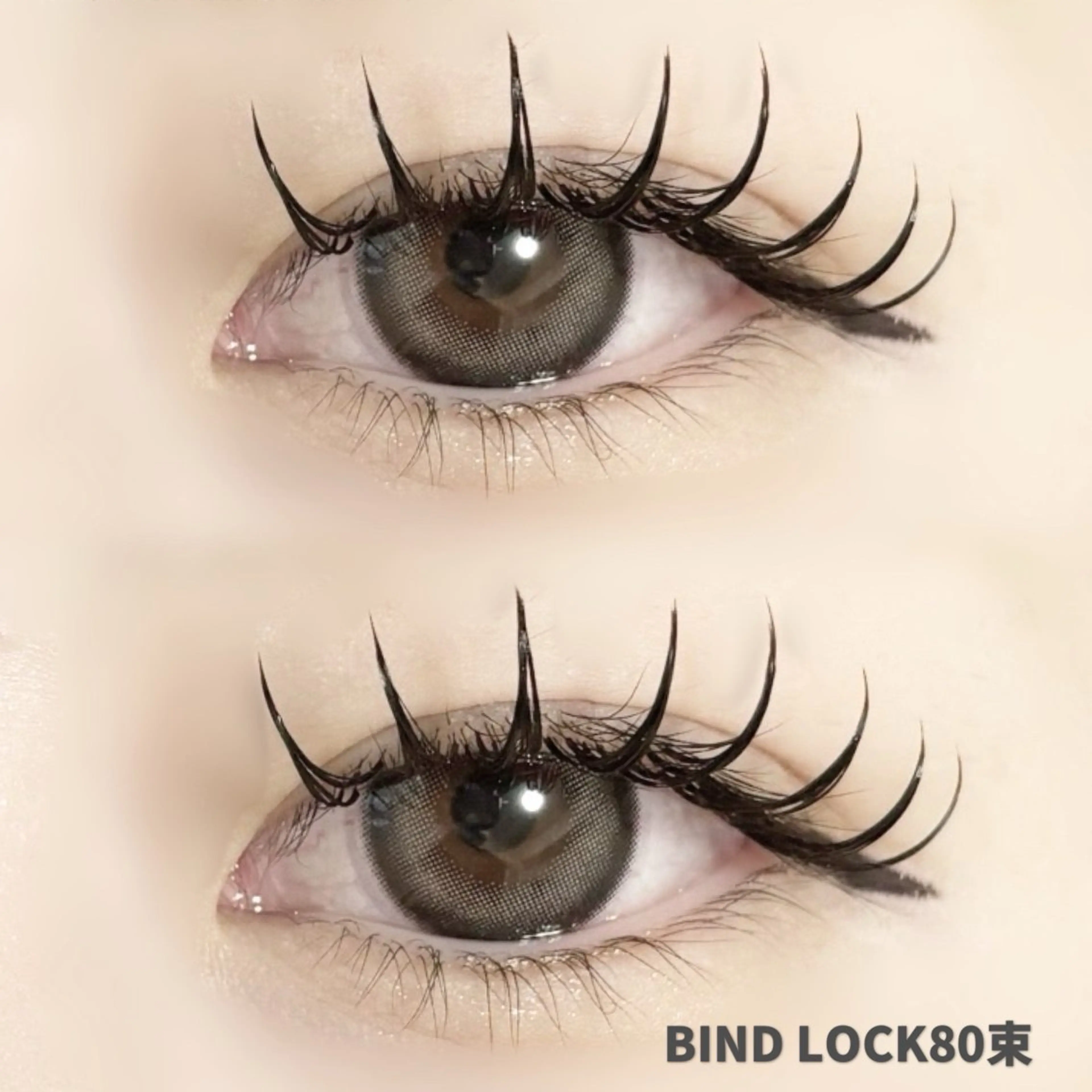 圧倒的モチ🌷バインドロック100束(オフ込み)の写真