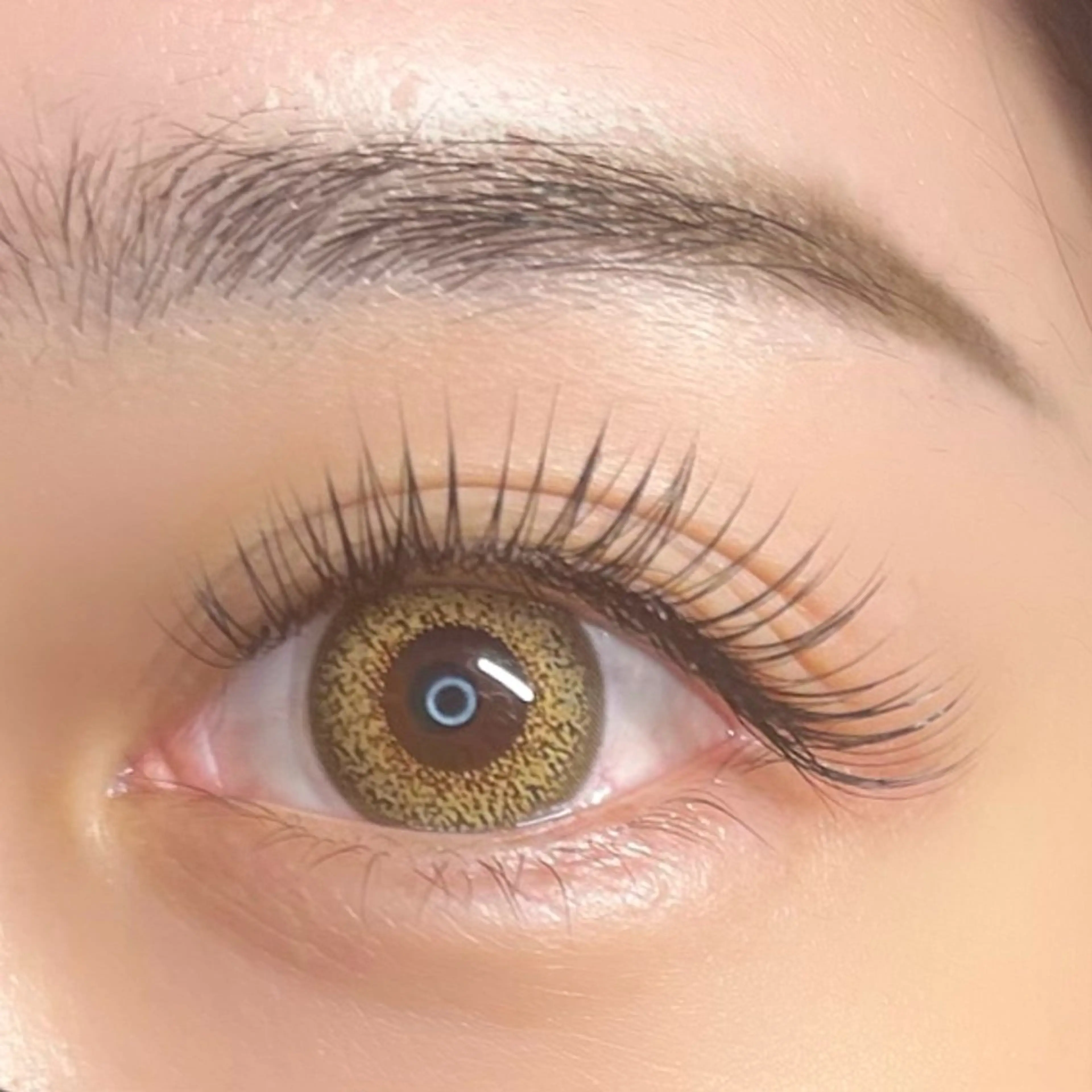 人気𝐍𝐨.𝟏デザインキープラッシュ🦋₊⁺ 140束(フラットラッシュ150​〜​160本程のﾎﾞﾘｭｰﾑ)他店オフ込の写真