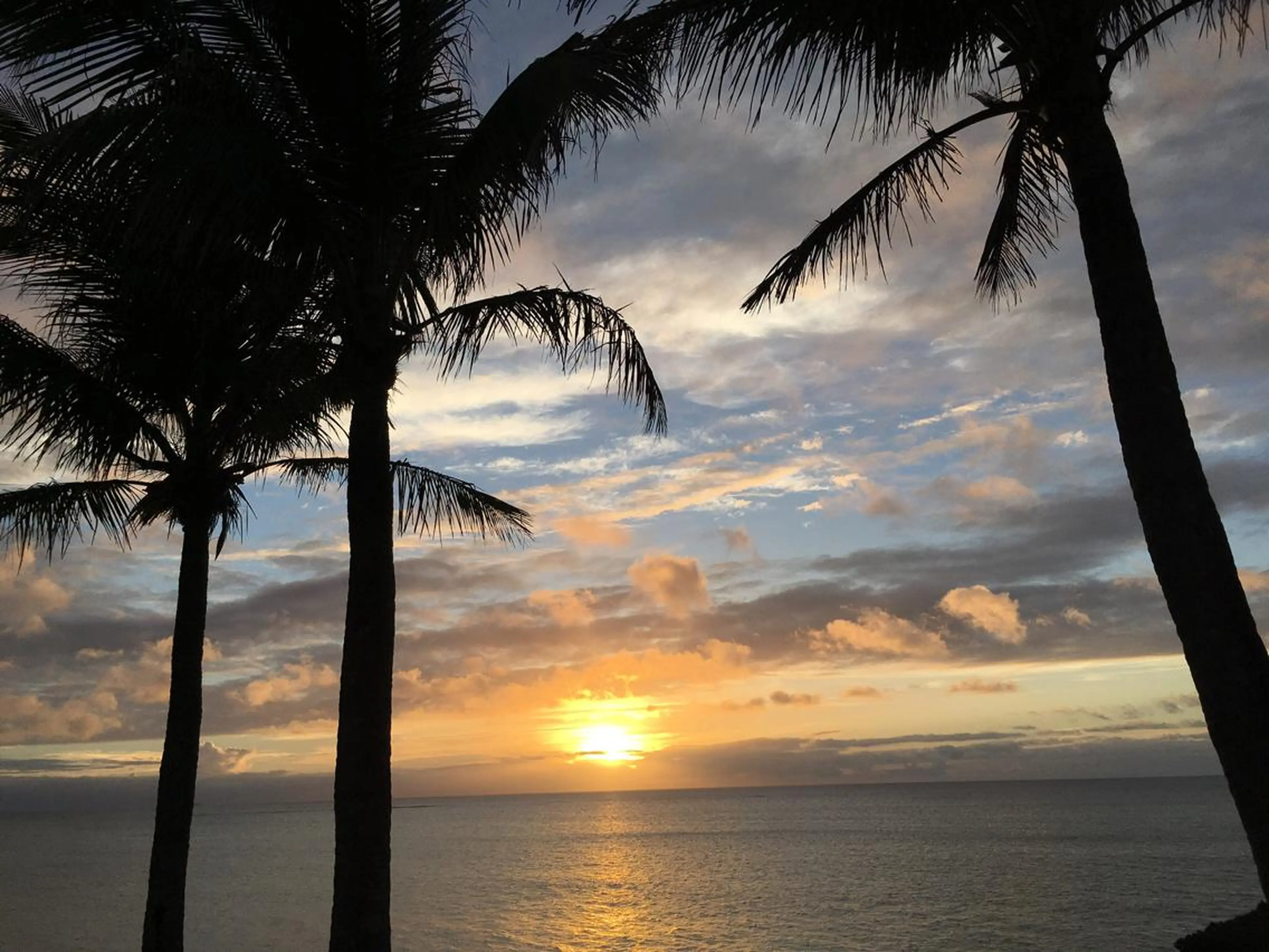 メンズ部分脱毛1部位の写真