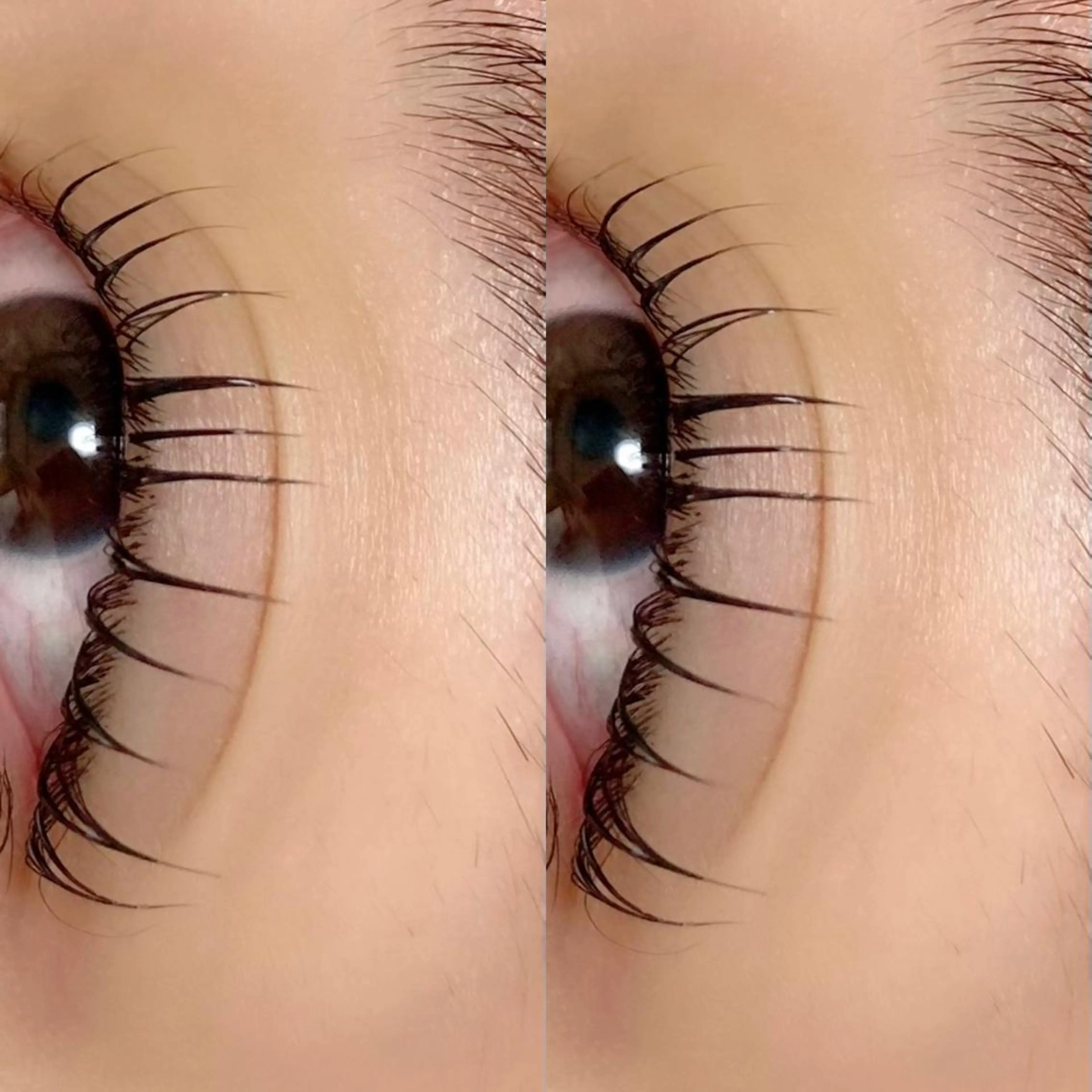 マツエク・マツパ 【那覇/束感まつ毛】 ｷｬﾒﾙのマツエク・マツパデザイン