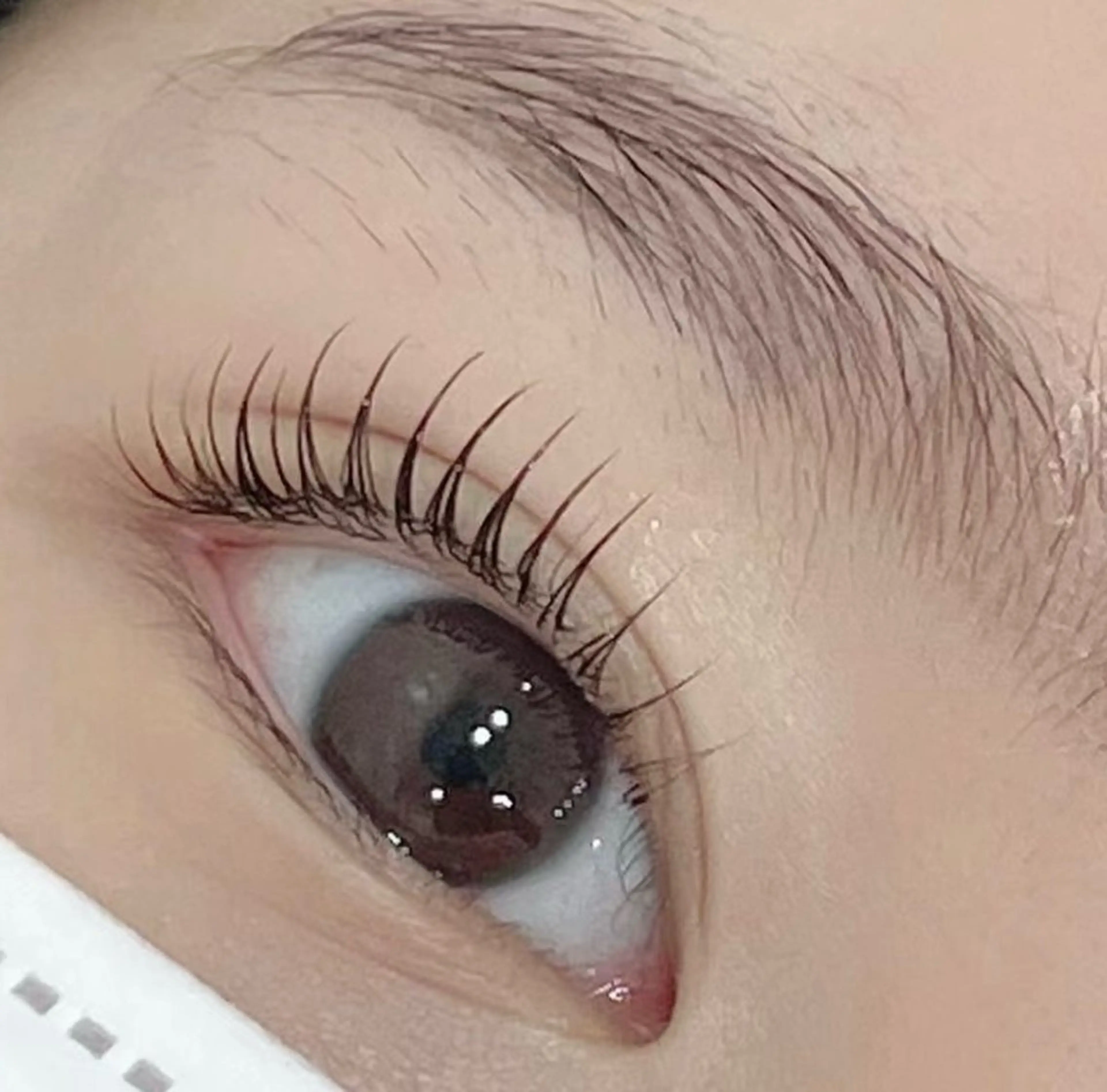 パーマ マツパ 創健ビューティー 御徒町・上野本店のマツエク・マツパデザイン