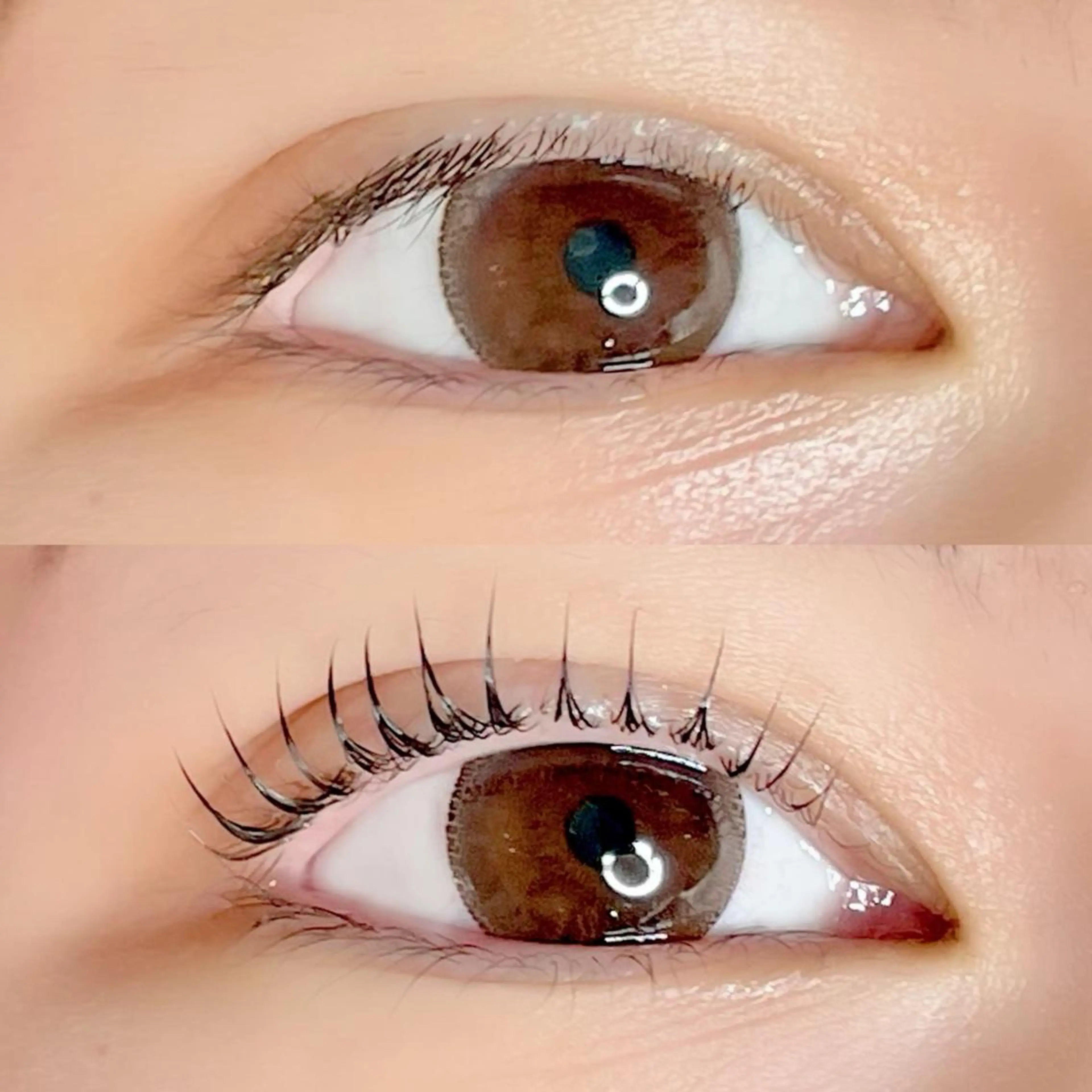 マツエク・マツパ AYLASH🧡 猪又のマツエク・マツパデザイン