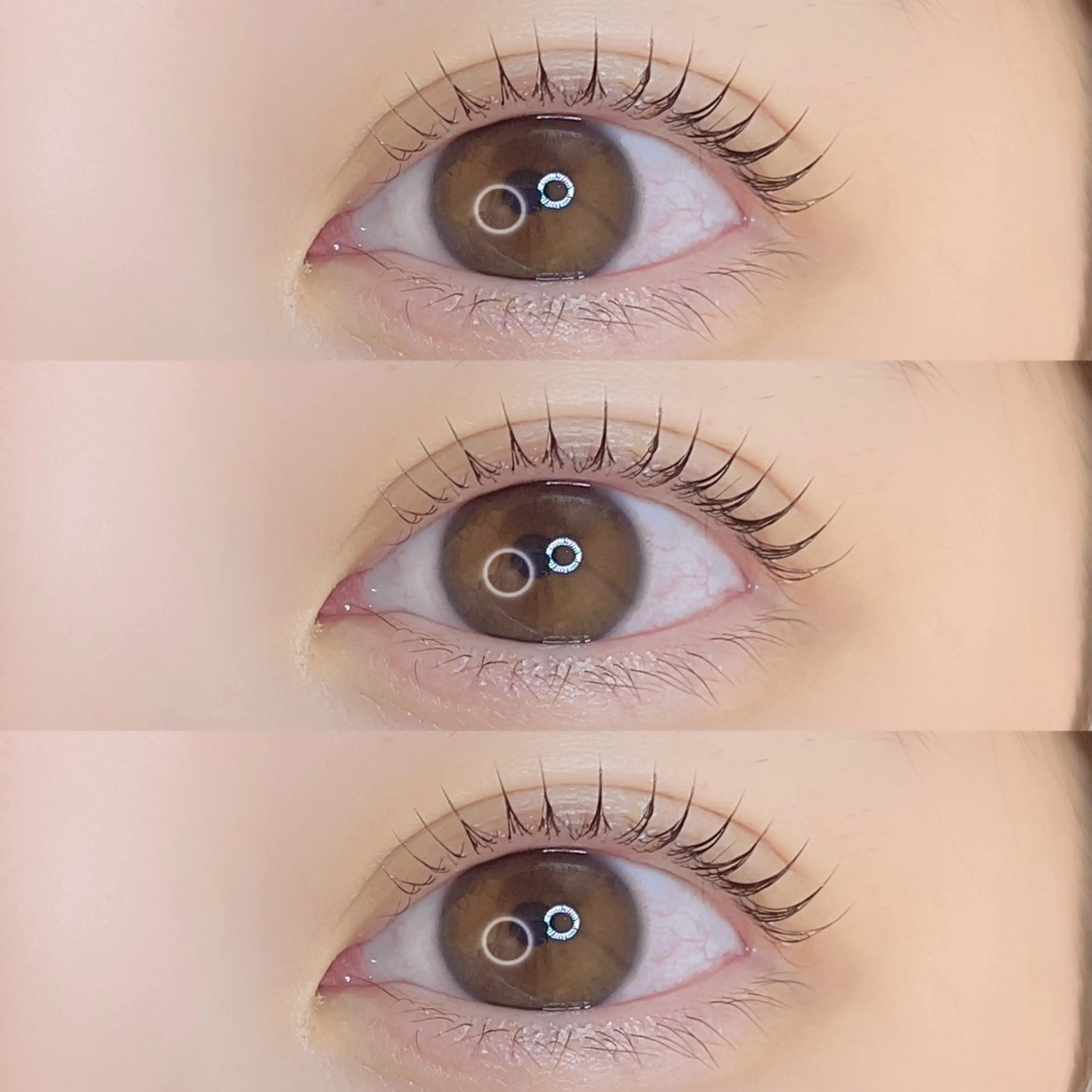 【❤️‍🔥minimo限定価格❤️‍🔥】パリジェンヌラッシュリフト[ケラチン入り美容液コーティング付き✨]の写真