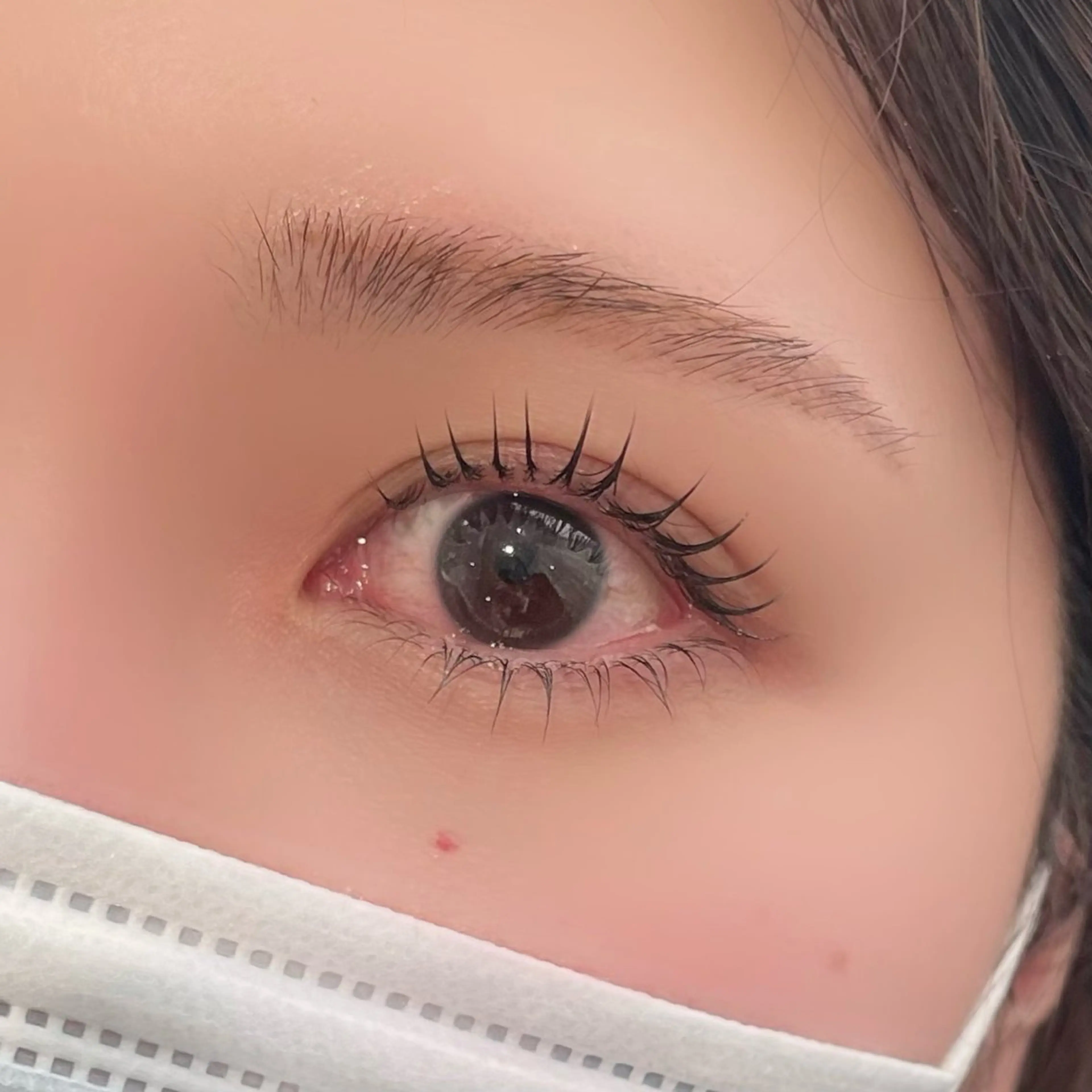 【当日予約⭕️】ケラチンラッシュリフト上下↕︎♡の写真