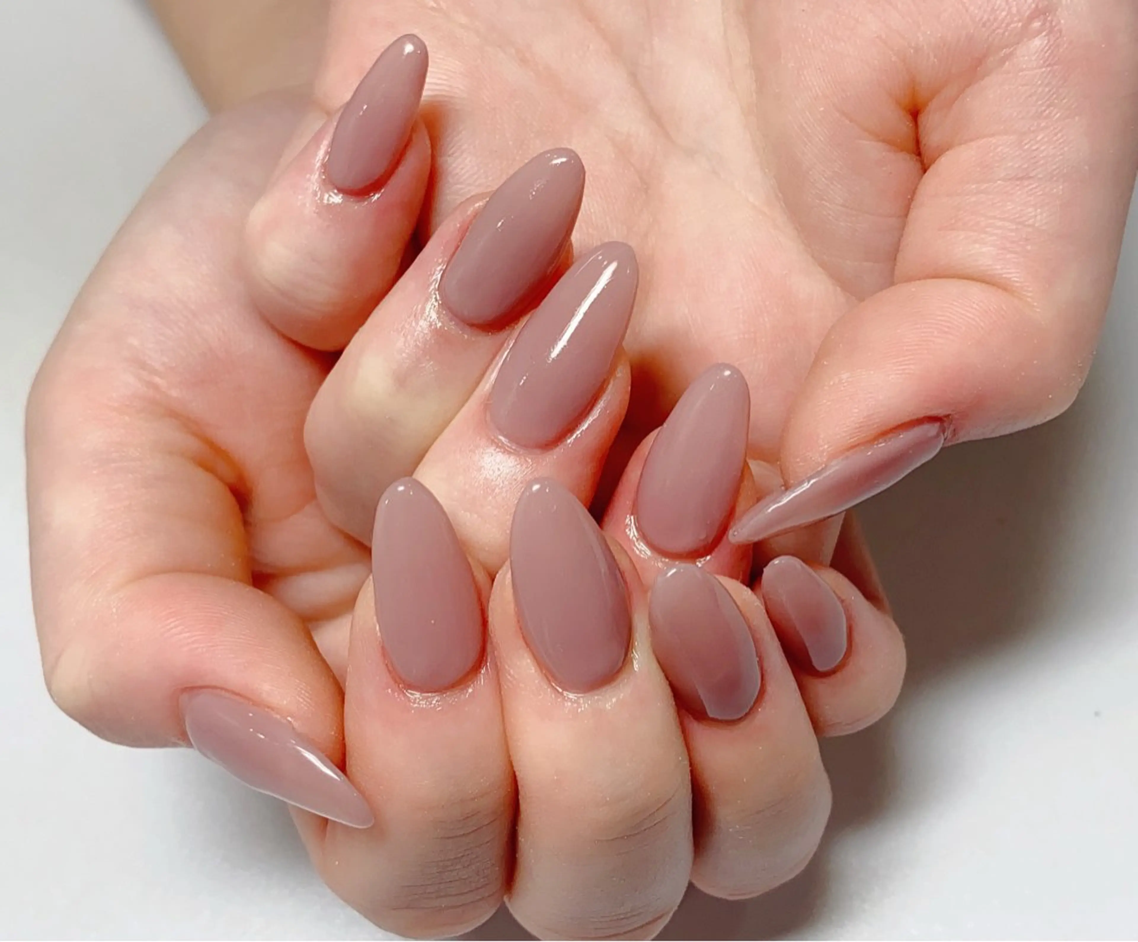 （オフ無料）ワンカラーの写真