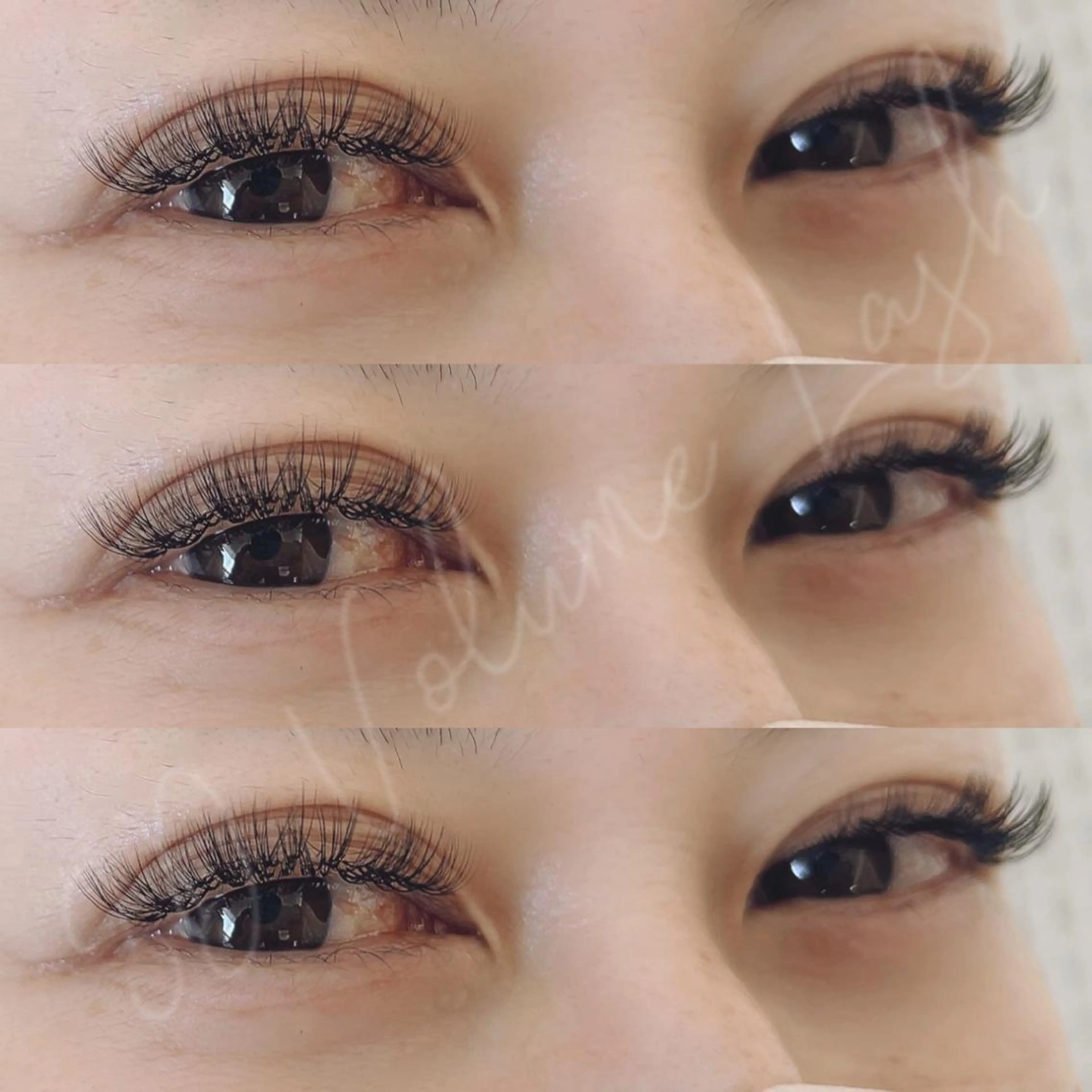 マツエク・マツパ マツエク 【Aile】 YUKAのマツエク・マツパデザイン