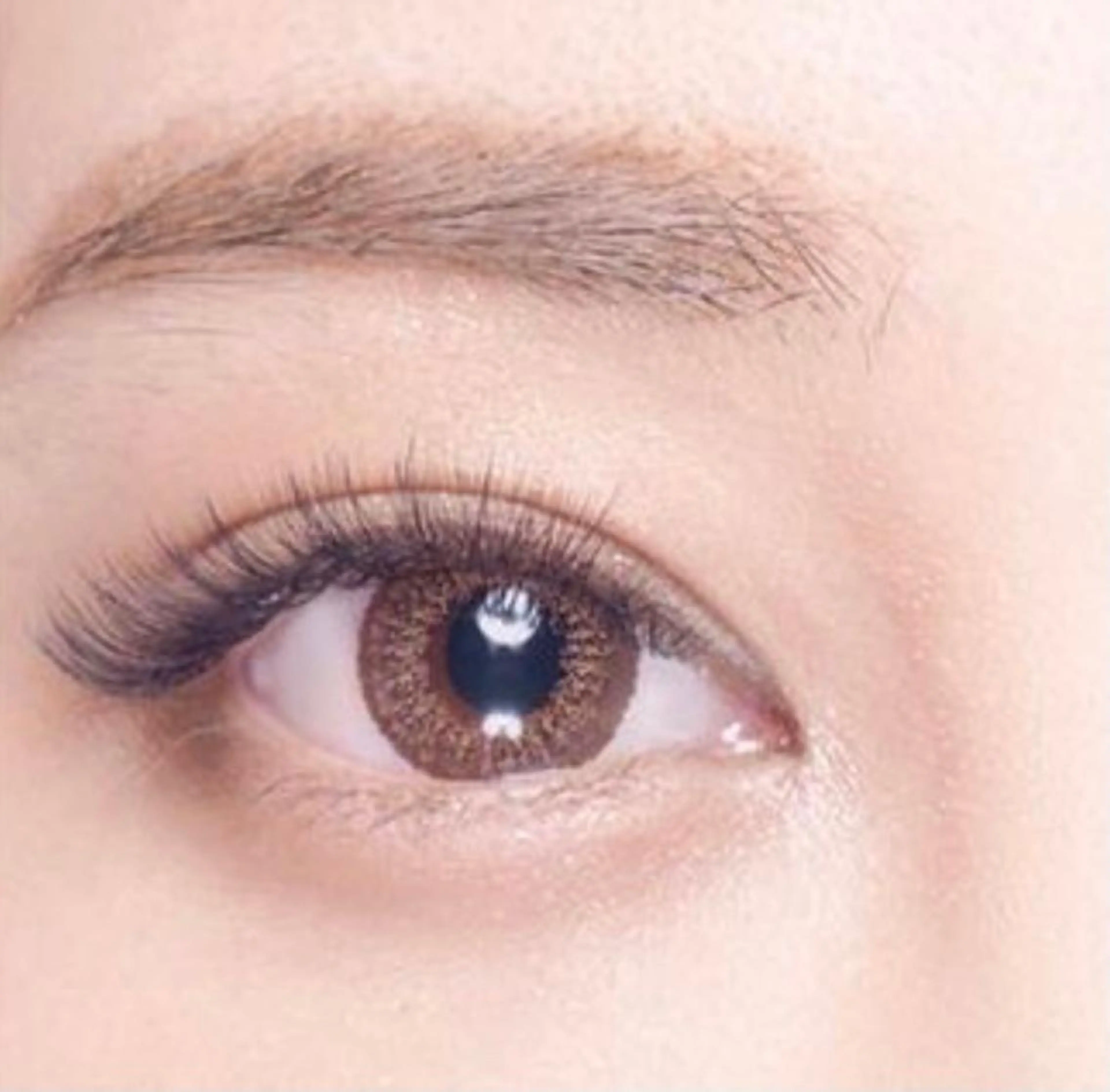 付け足しに◎ボリュームラッシュ《3D.4D MIX》 両目60束(210本)の写真