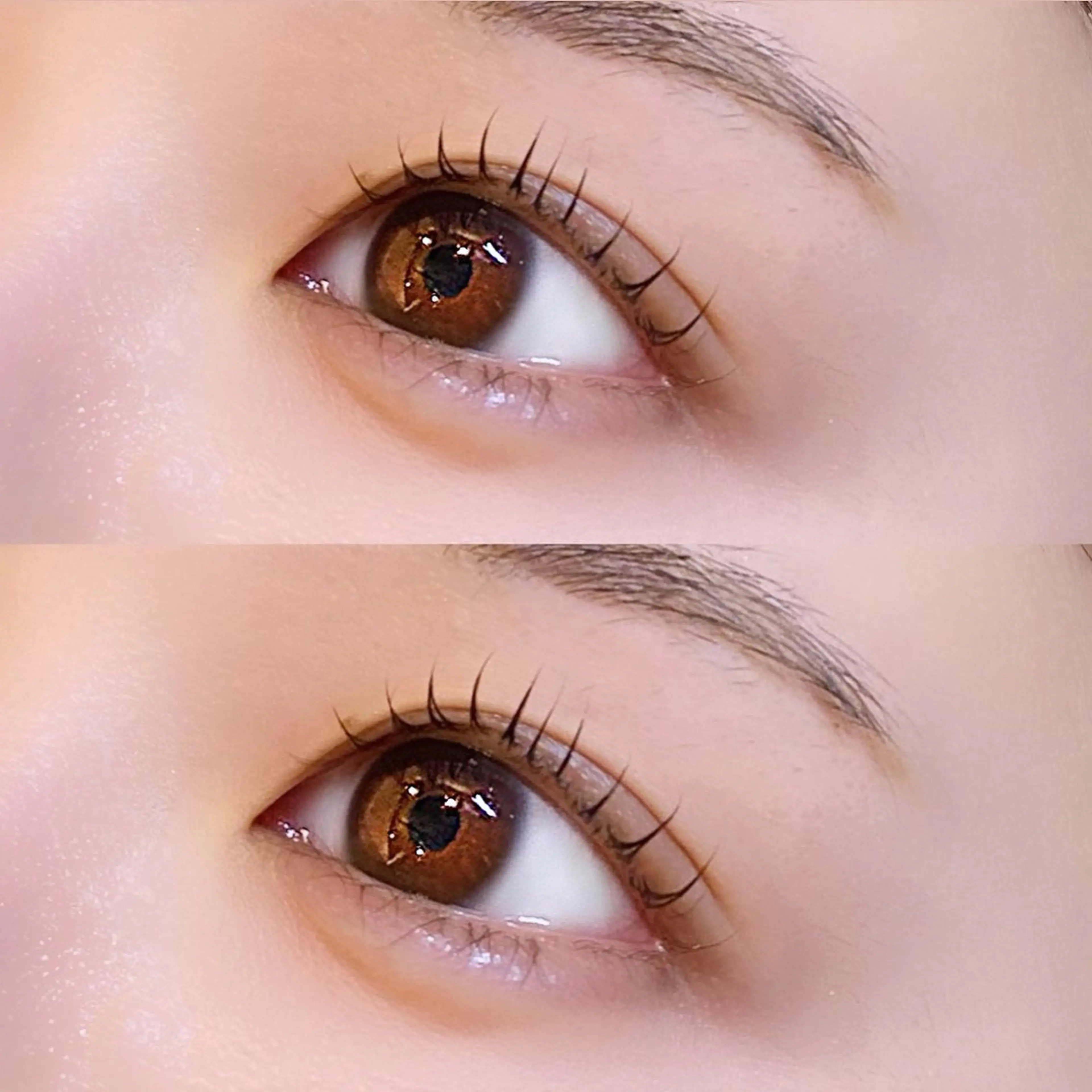 【ミニモ限定】🎀まつ毛パーマorパリジェンヌ🎀の写真