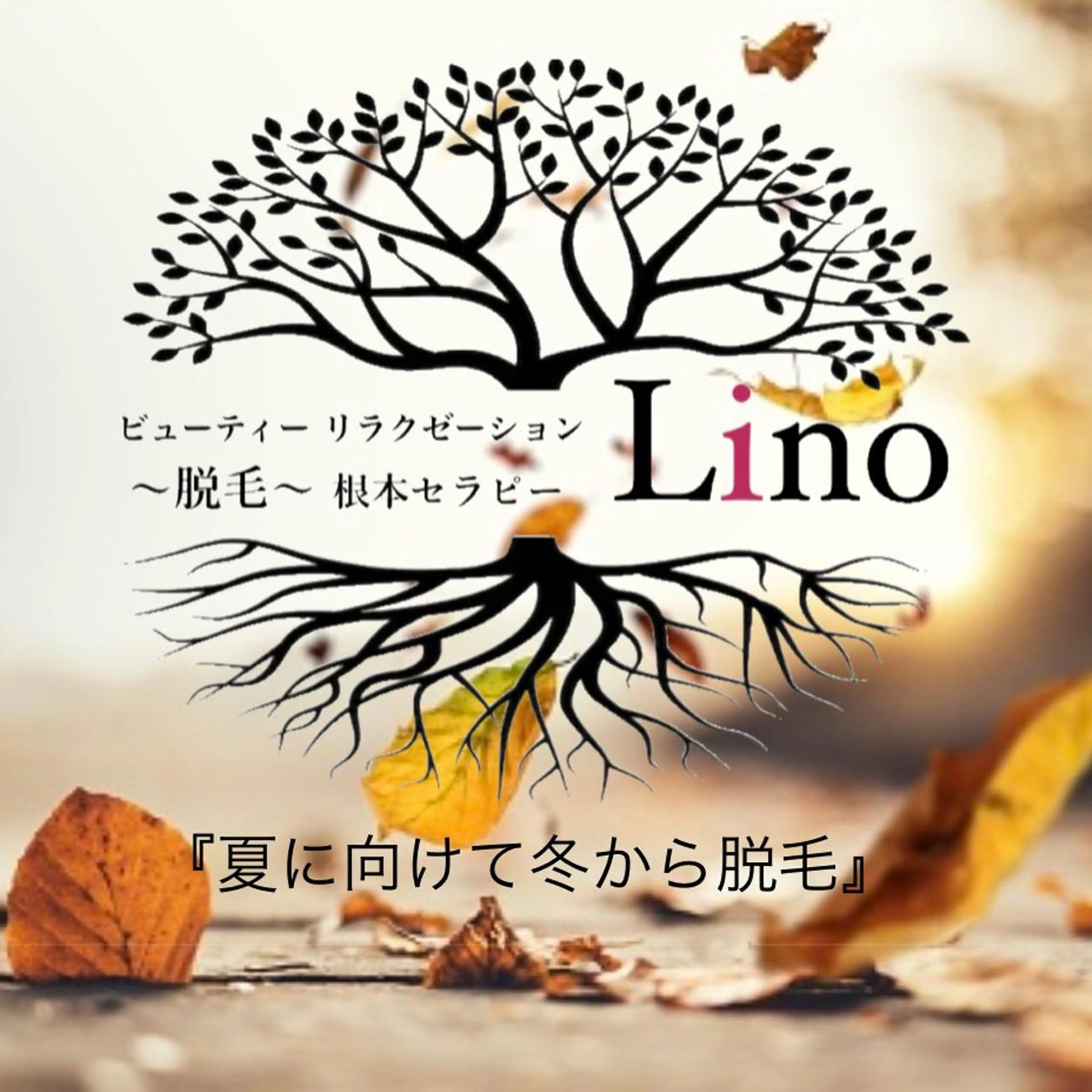 Lino 《リノ》のエステ・リラクイメージ