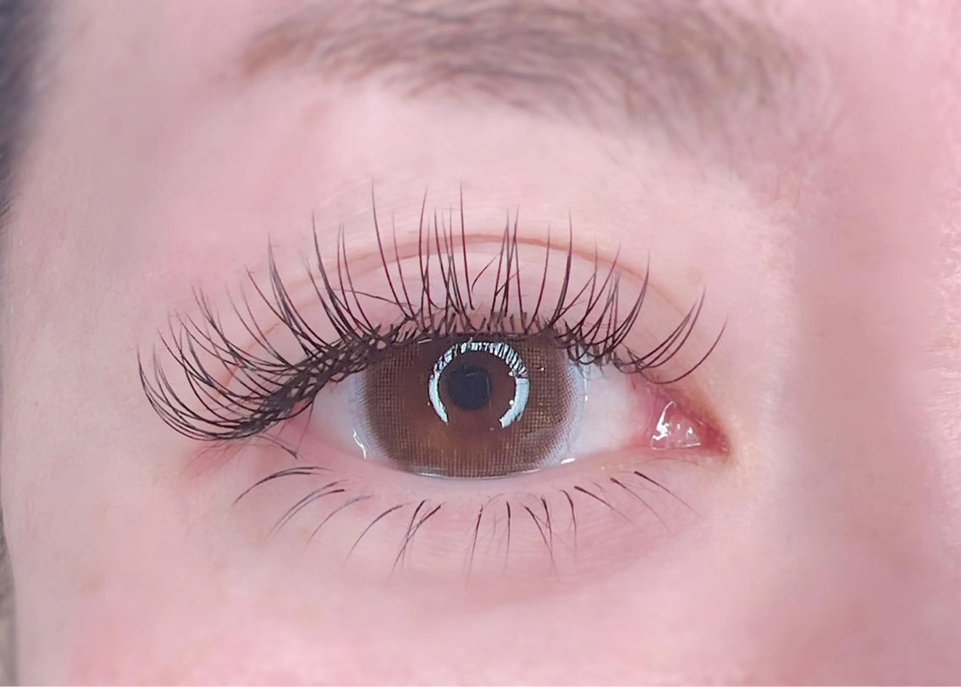 下マツゲ【つけ放題】の写真