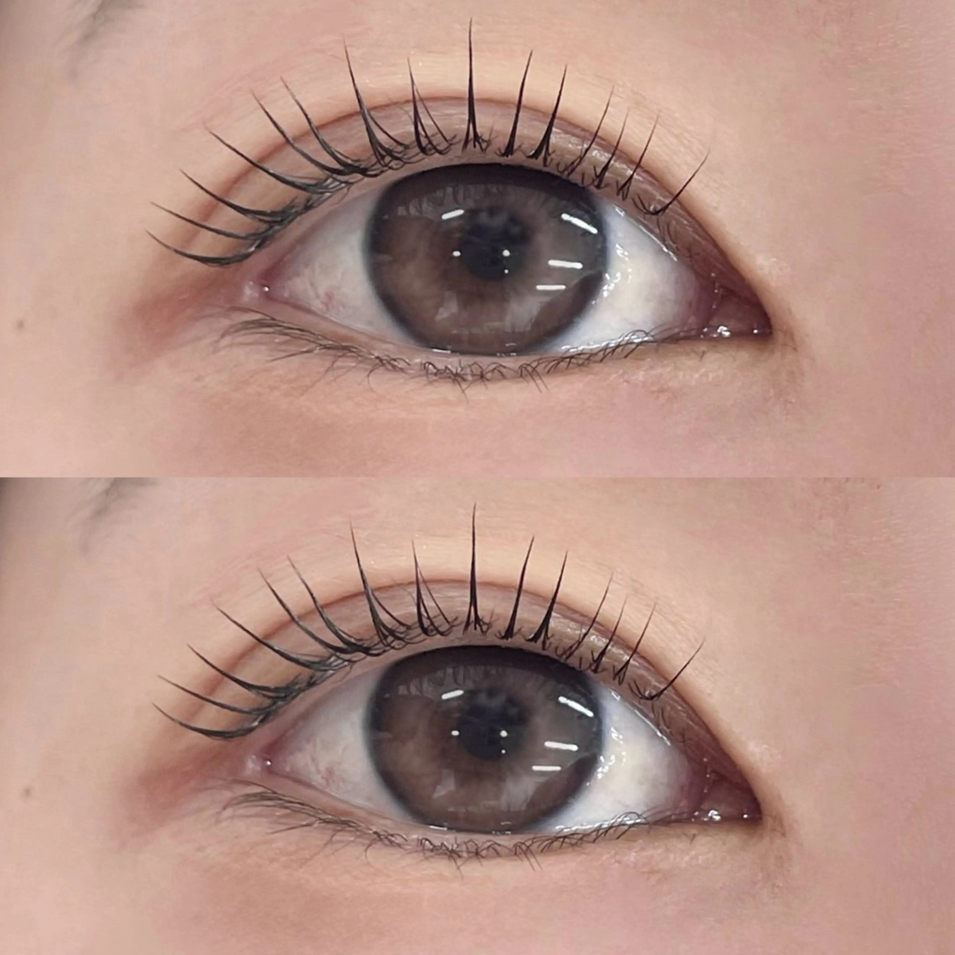 【⠀🐰コスメラッシュリフト回数券使用の方🐰 】の写真