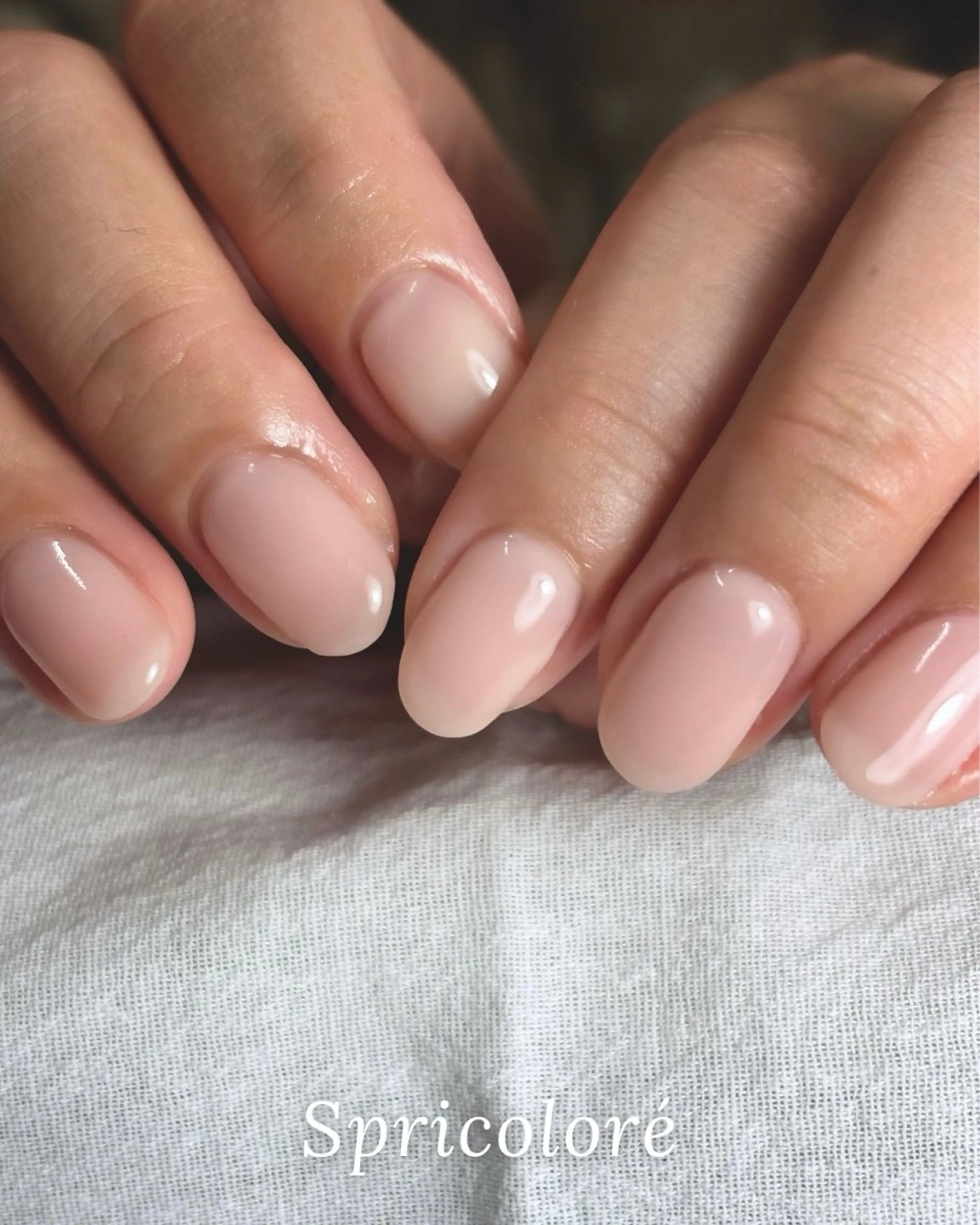 ネイル ワンカラーネイル シンプルネイル Spricoloré(スプリコローレ)所属・Spricoloré ／harunaのネイルデザイン