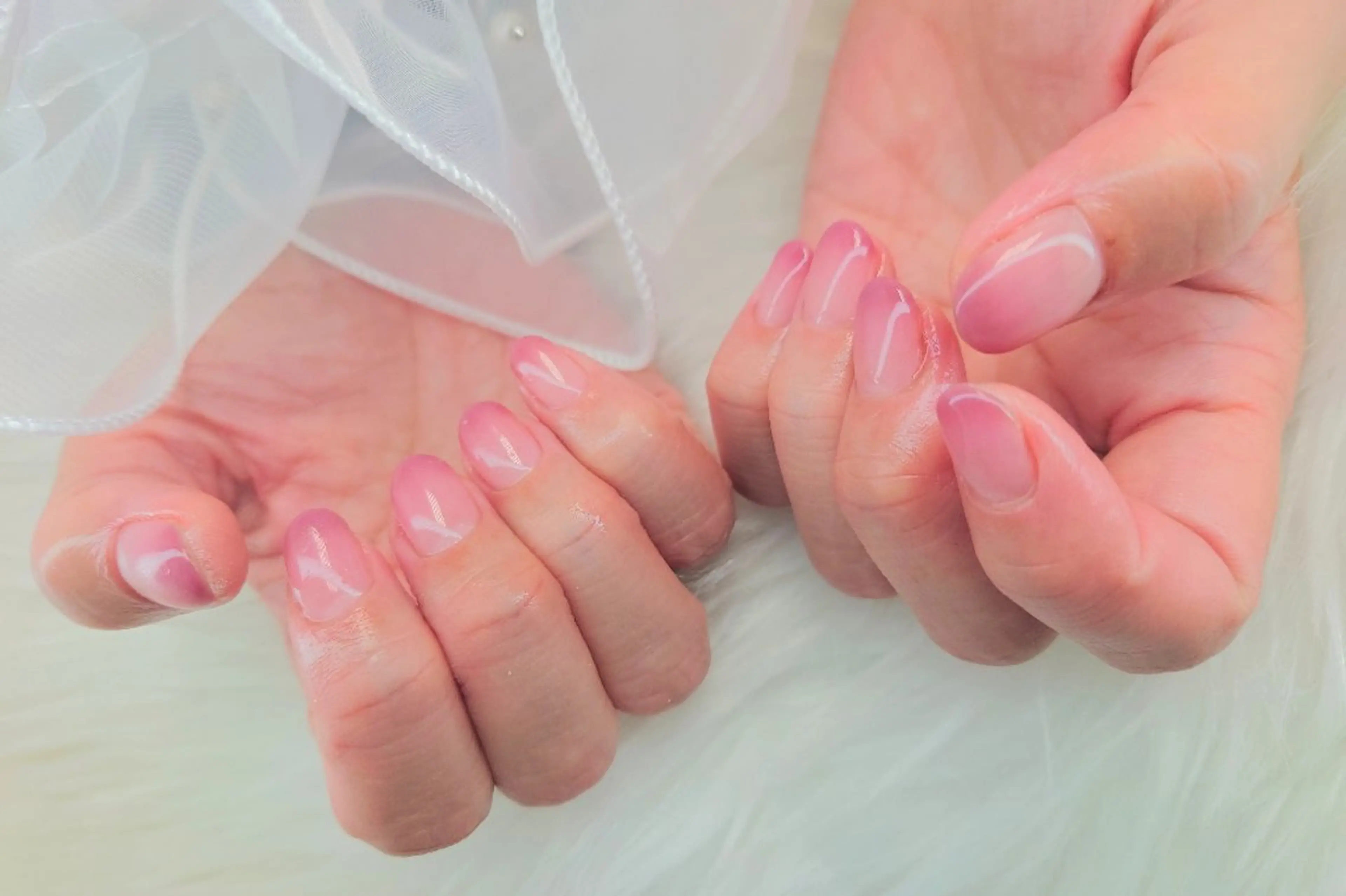 【オフなし】ワンカラー、グラデーションの写真