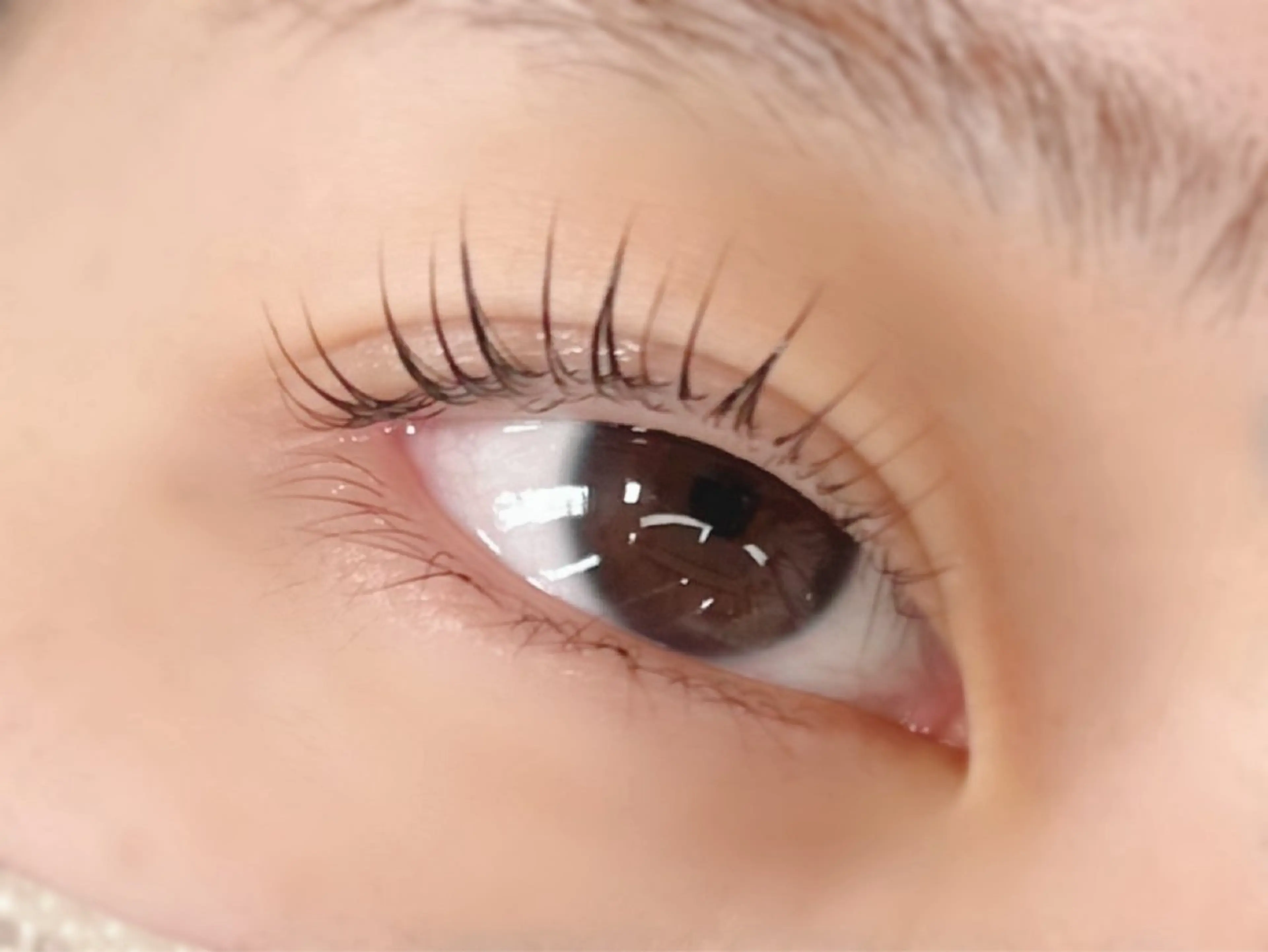 マツエク・マツパ マツパ 【felice】 Takahashiのマツエク・マツパデザイン