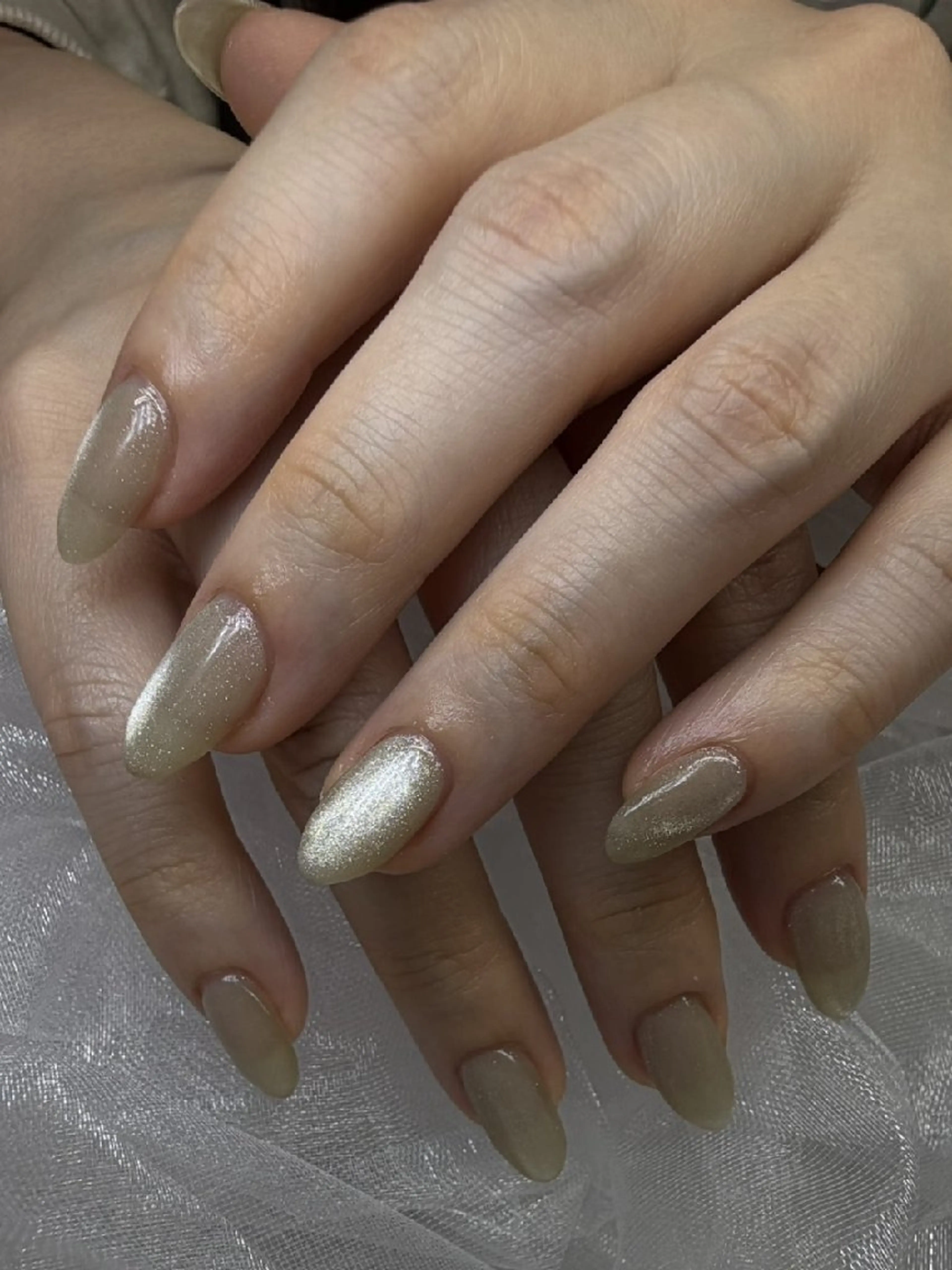 ネイル マグネットネイル シルバー ハンドネイル miwa🌿 .fのネイルデザイン