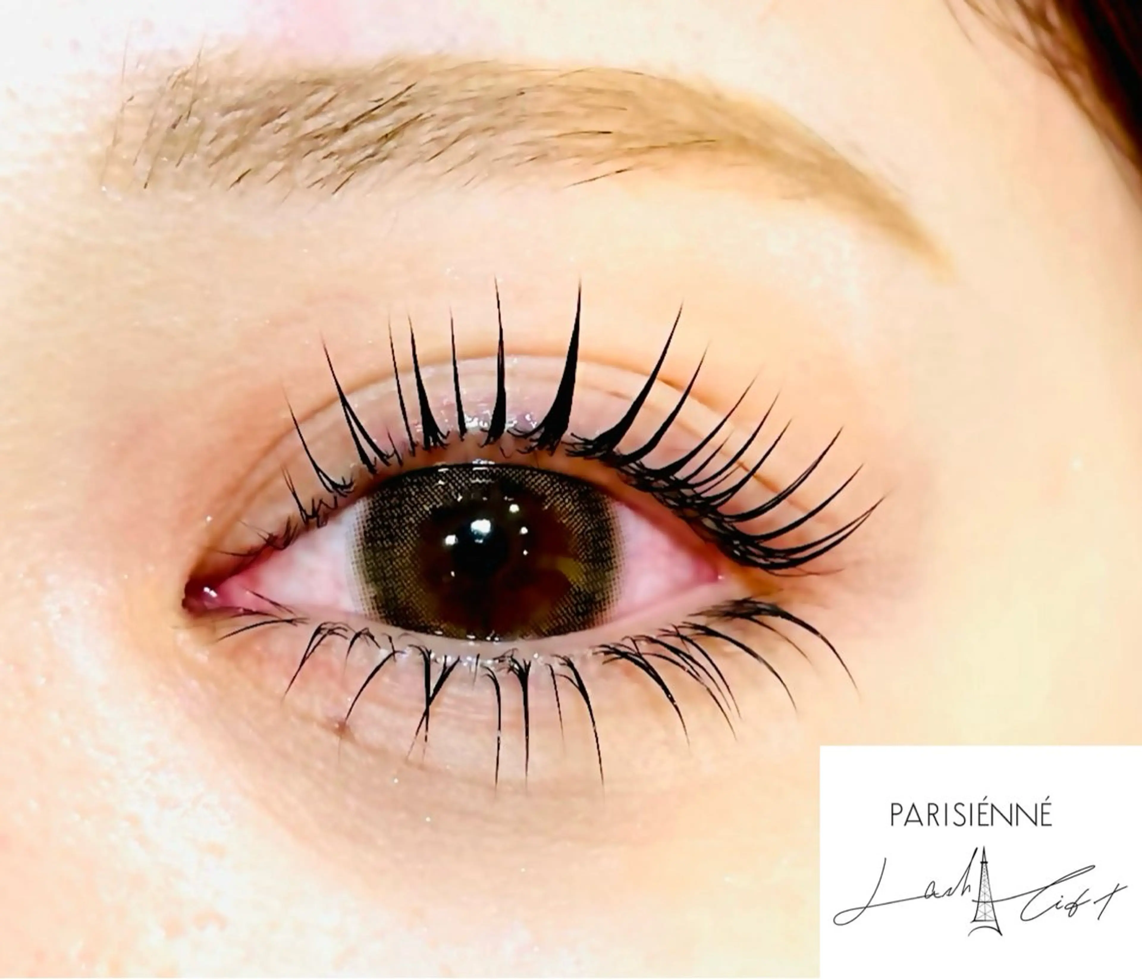 マツエク・マツパ マツパ SATOSHI NEON🏳️‍🌈の眉毛・アイブロウイメージ