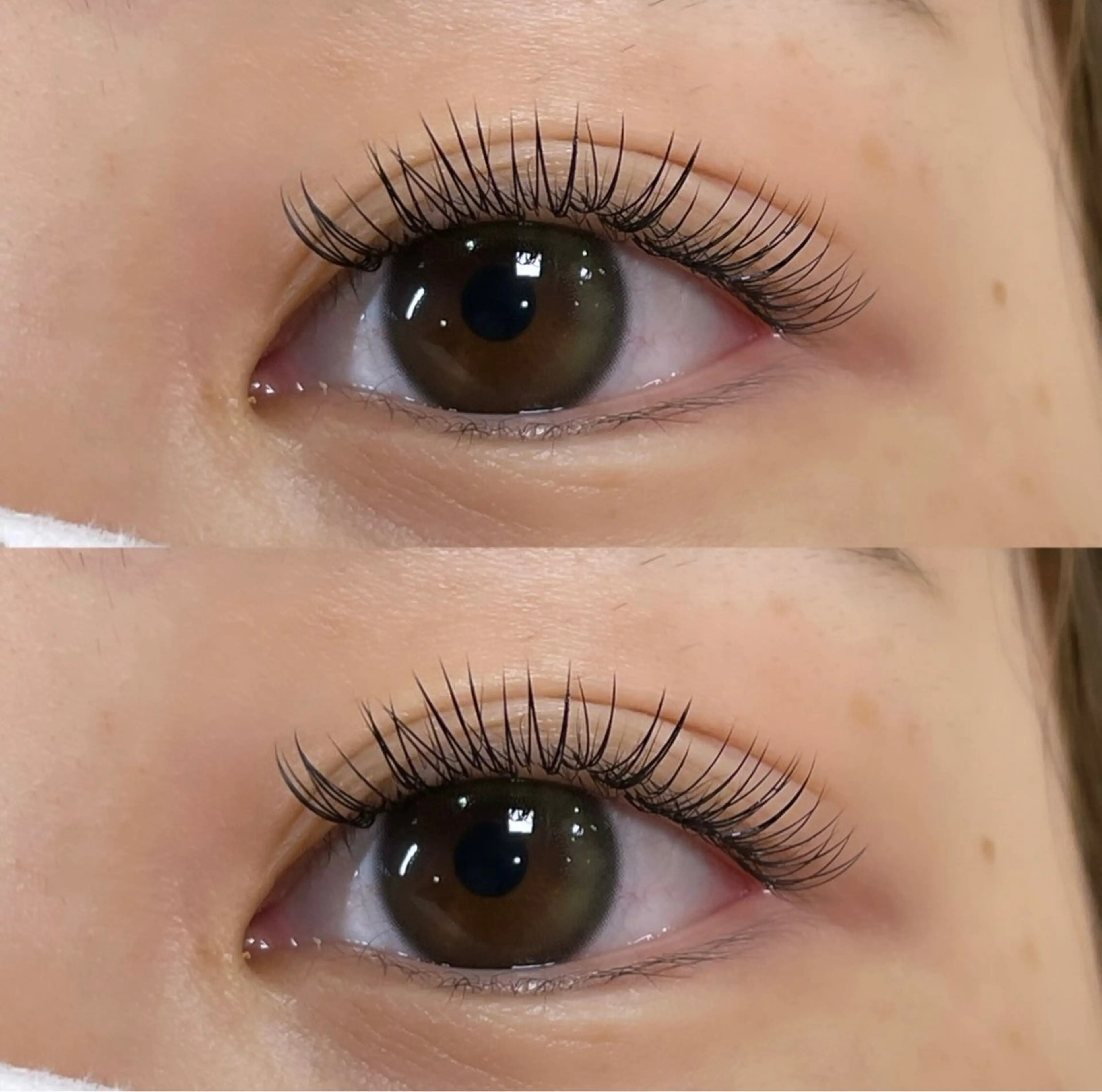 マツエク・マツパ Shucre藤が丘 🩰YUNAのマツエク・マツパデザイン