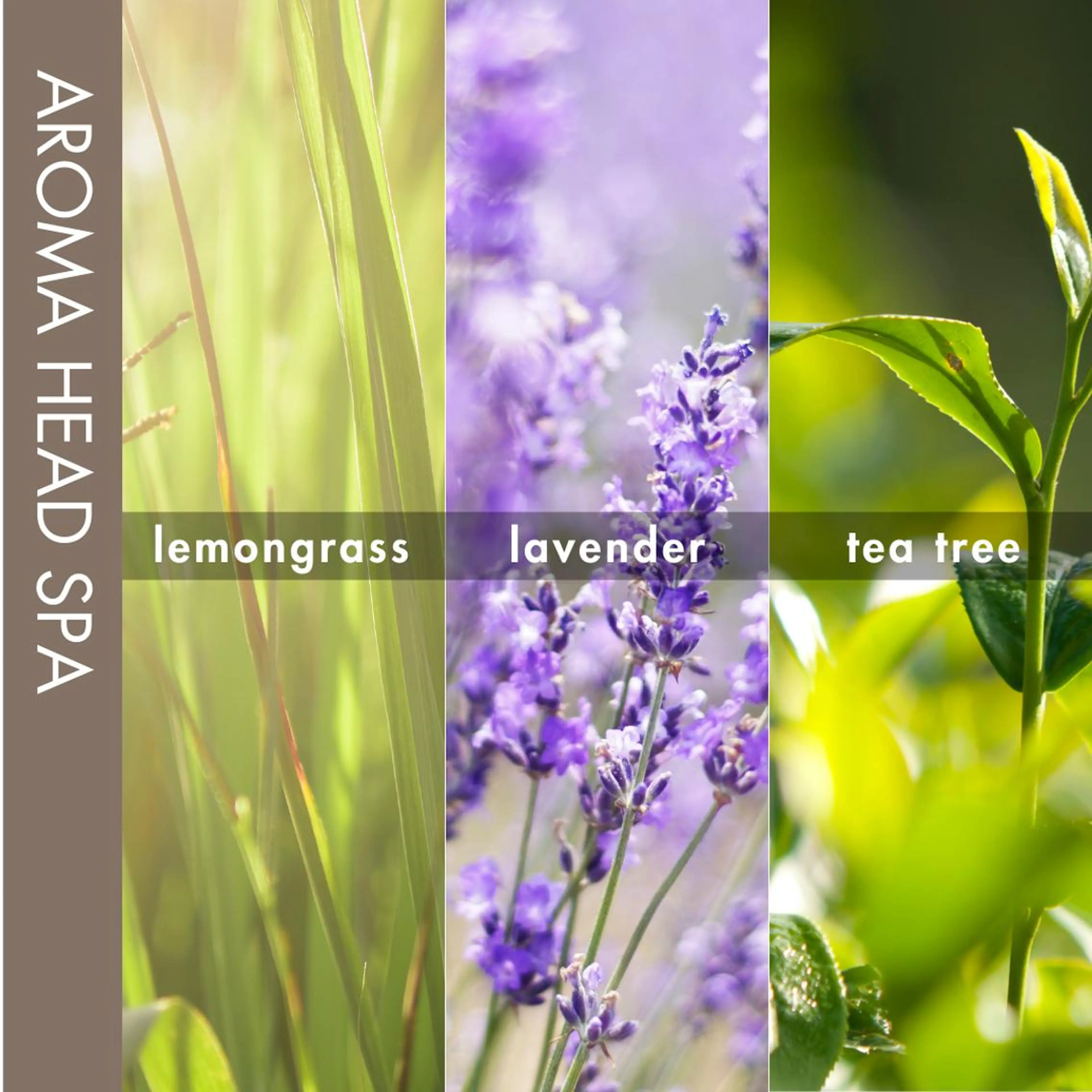 ヘアカラー トリートメント ROW 札幌のヘアスタイル