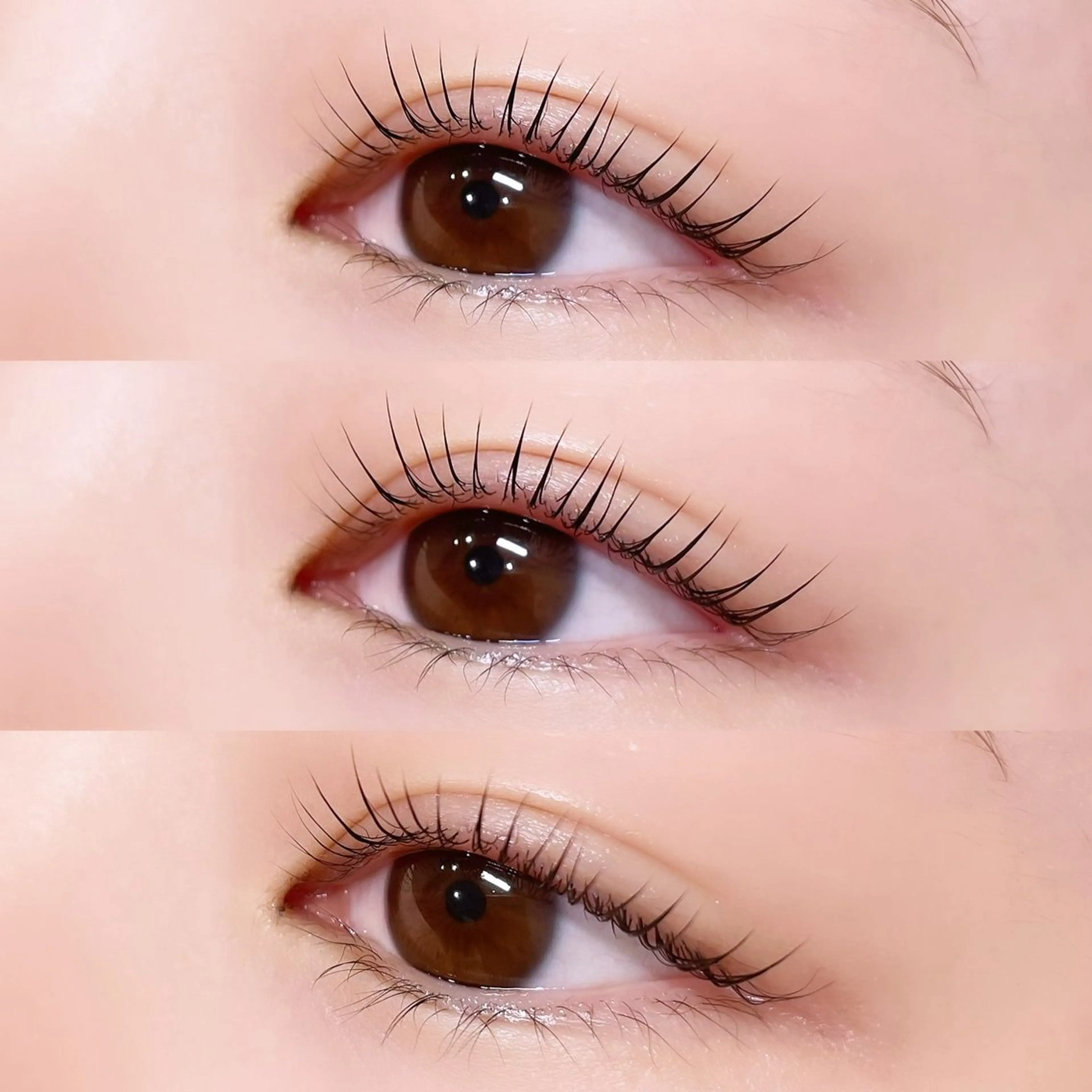 パリジェンヌラッシュリフト(ケラチントリートメント、アイシャンプー付き)の写真