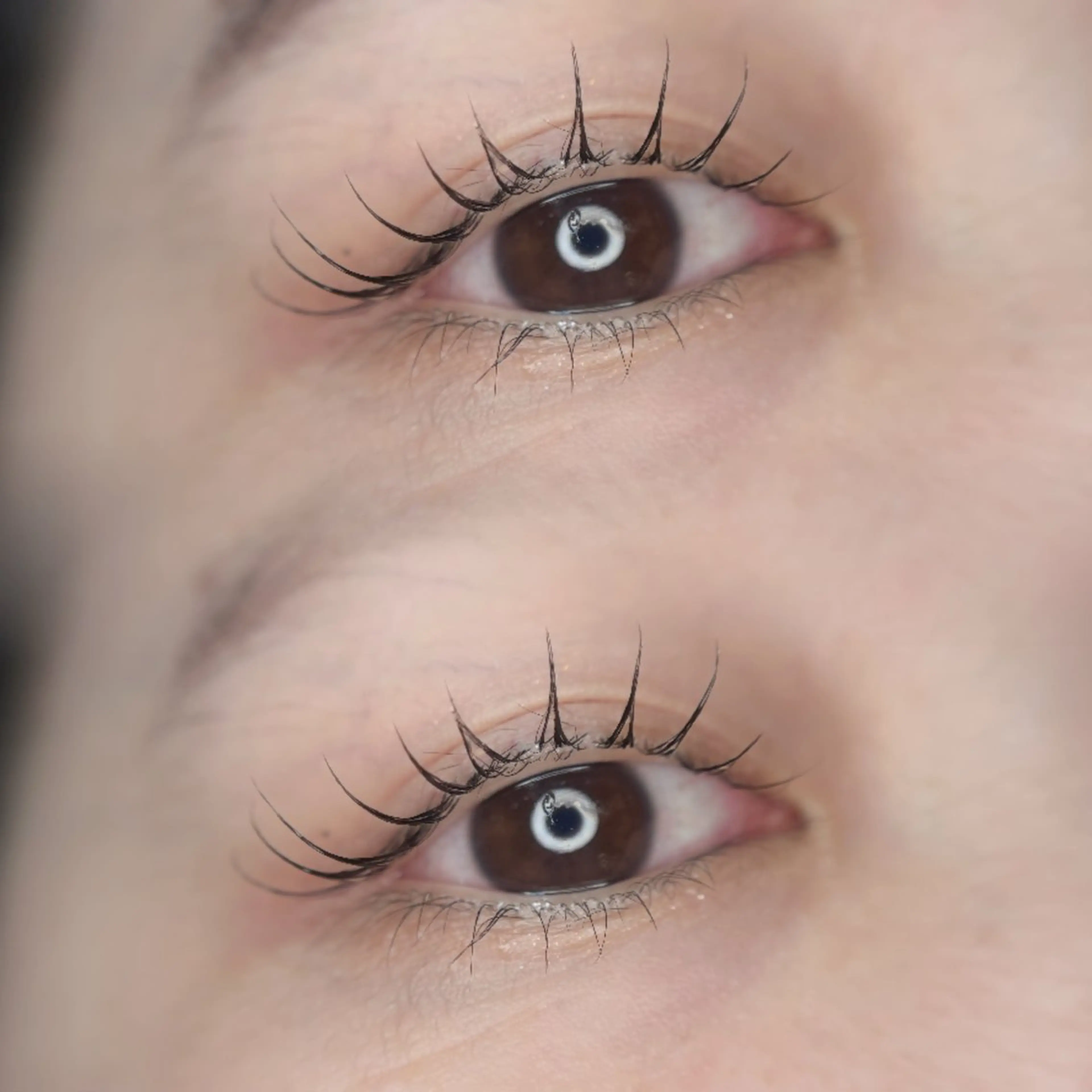 マツエク・マツパ まつげパーマ 一重×まつ毛パーマ 🦋MaaZlash 南流山FUKA🤍のマツエク・マツパデザイン