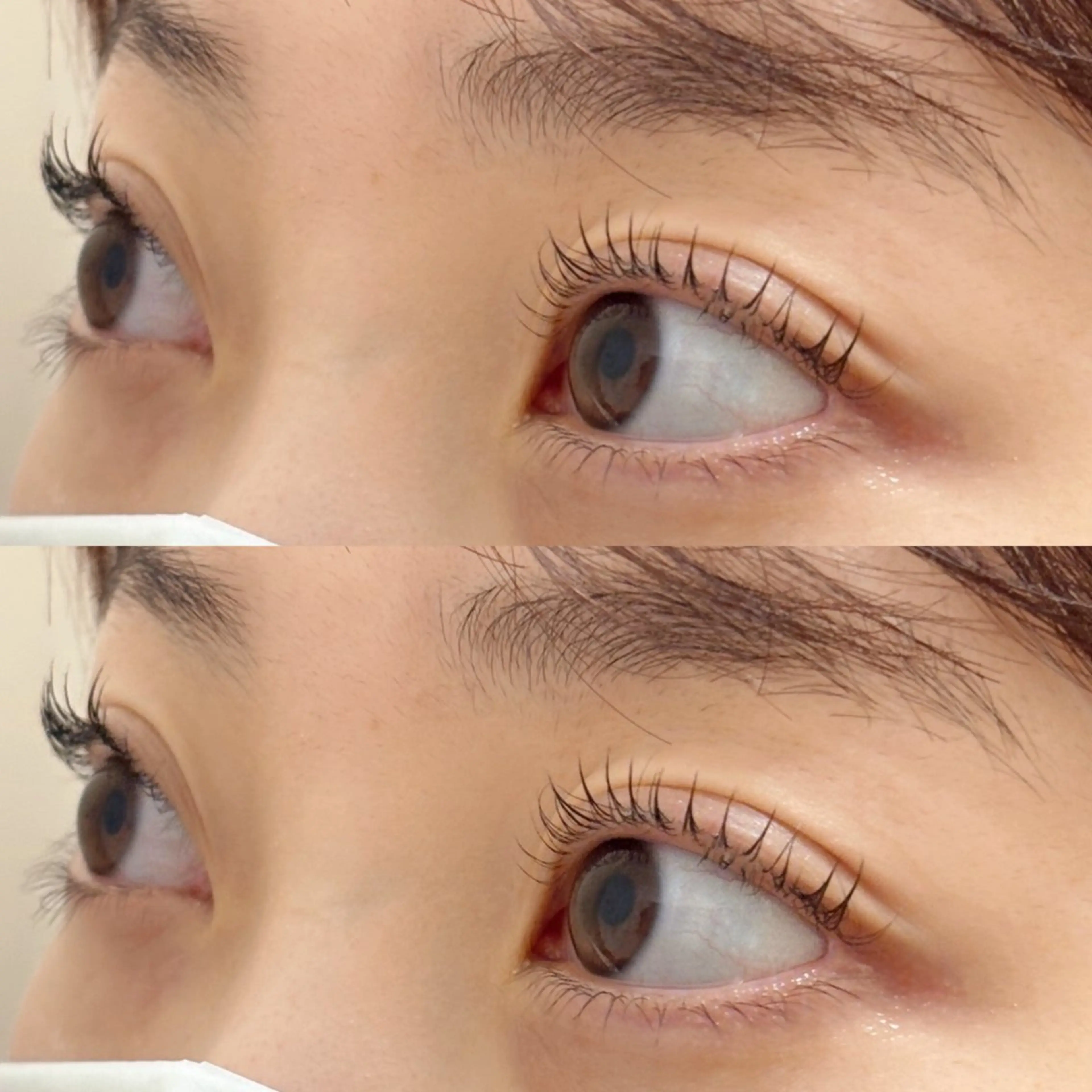 マツエク・マツパ パリジェンヌラッシュリフト ココラッシュ立川店所属・👻ことね👻 アイリストの眉毛・アイブロウイメージ